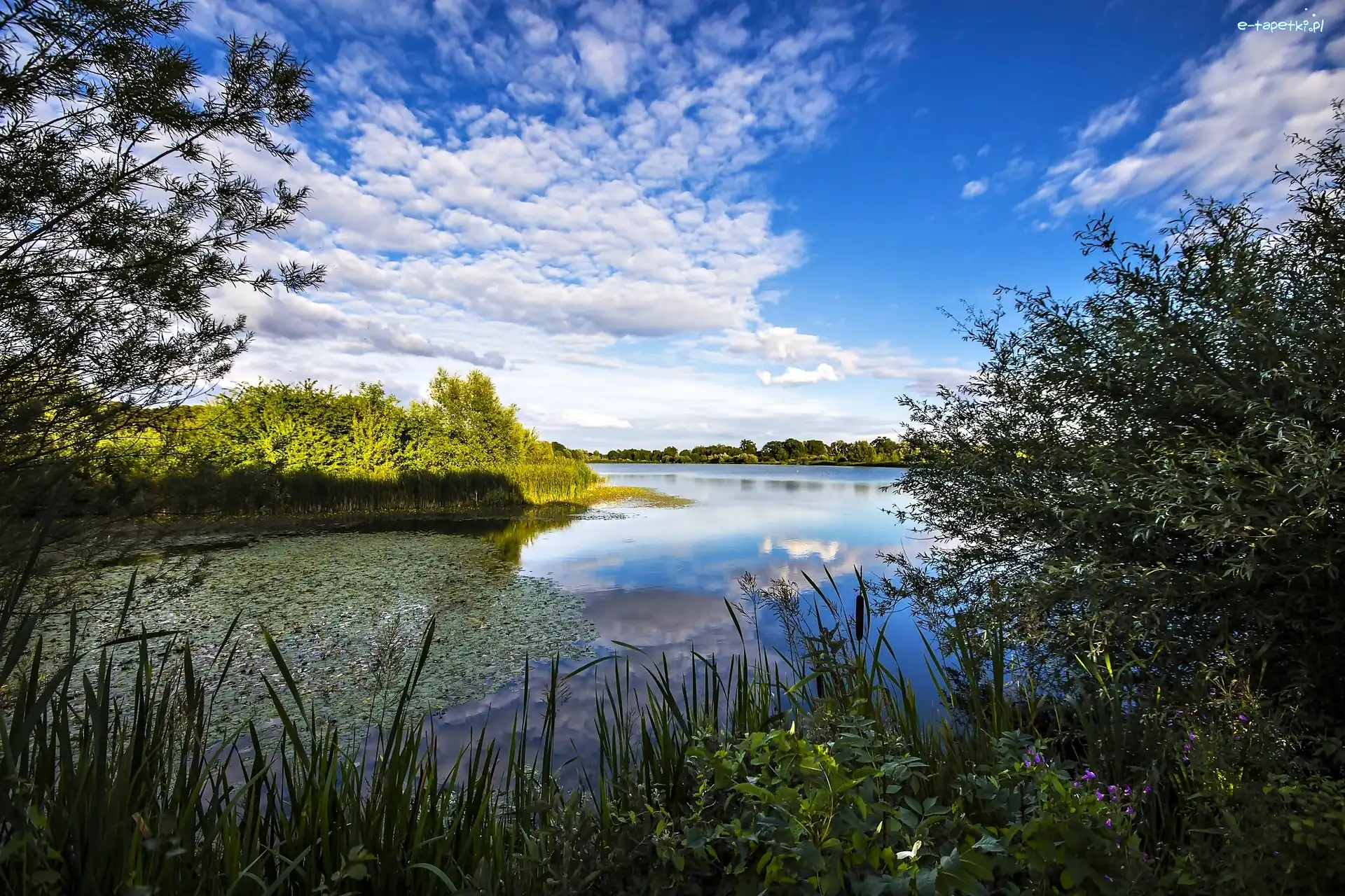Anglia, Cambridgeshire, Rzeka Great Ouse