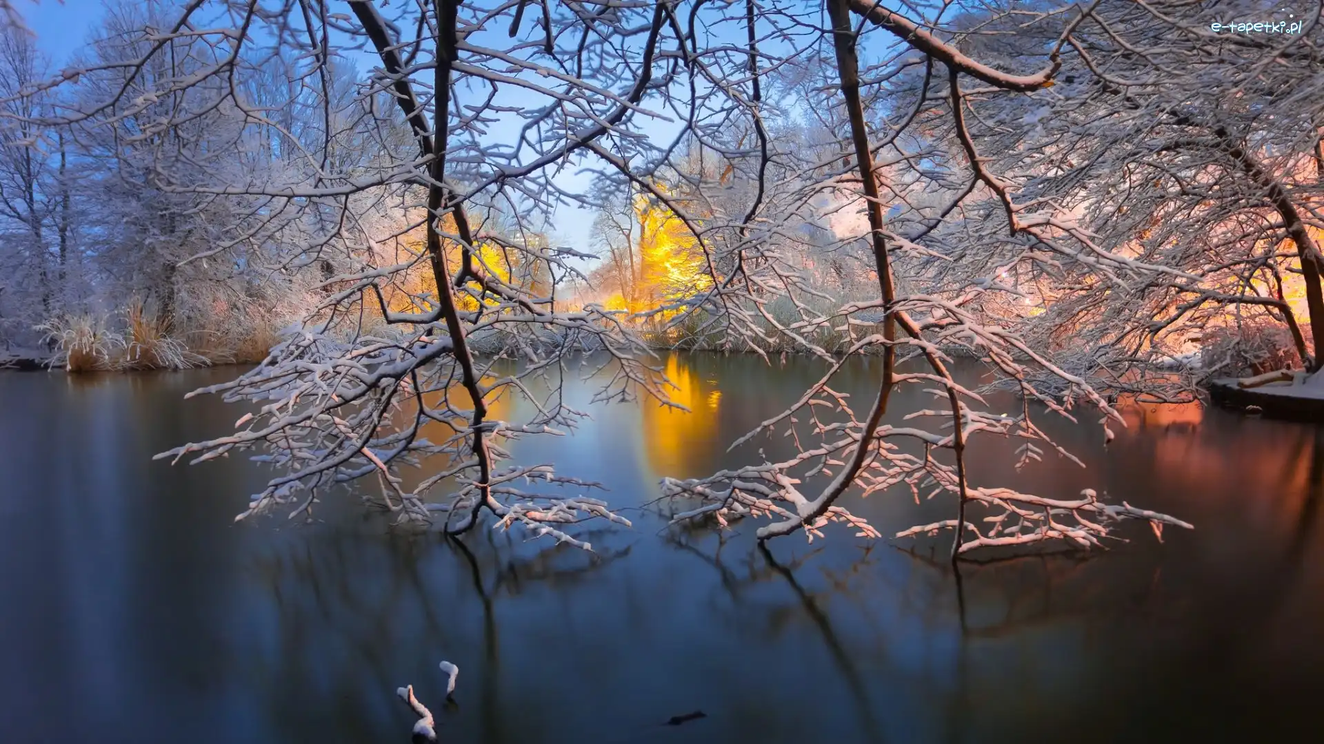 Park, Zima, Staw, Gałęzie, Drzewa