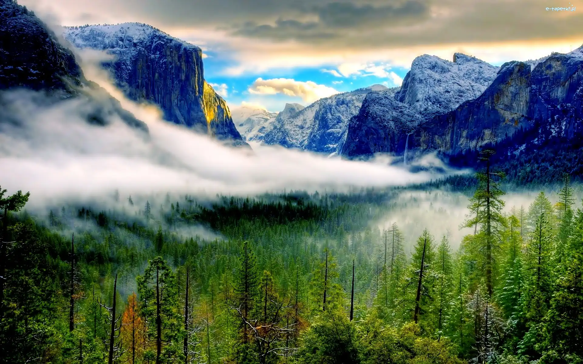 Drzewa, Park Narodowy Yosemite, Góry, Mgła, Stan Kalifornia, Stany Zjednoczone