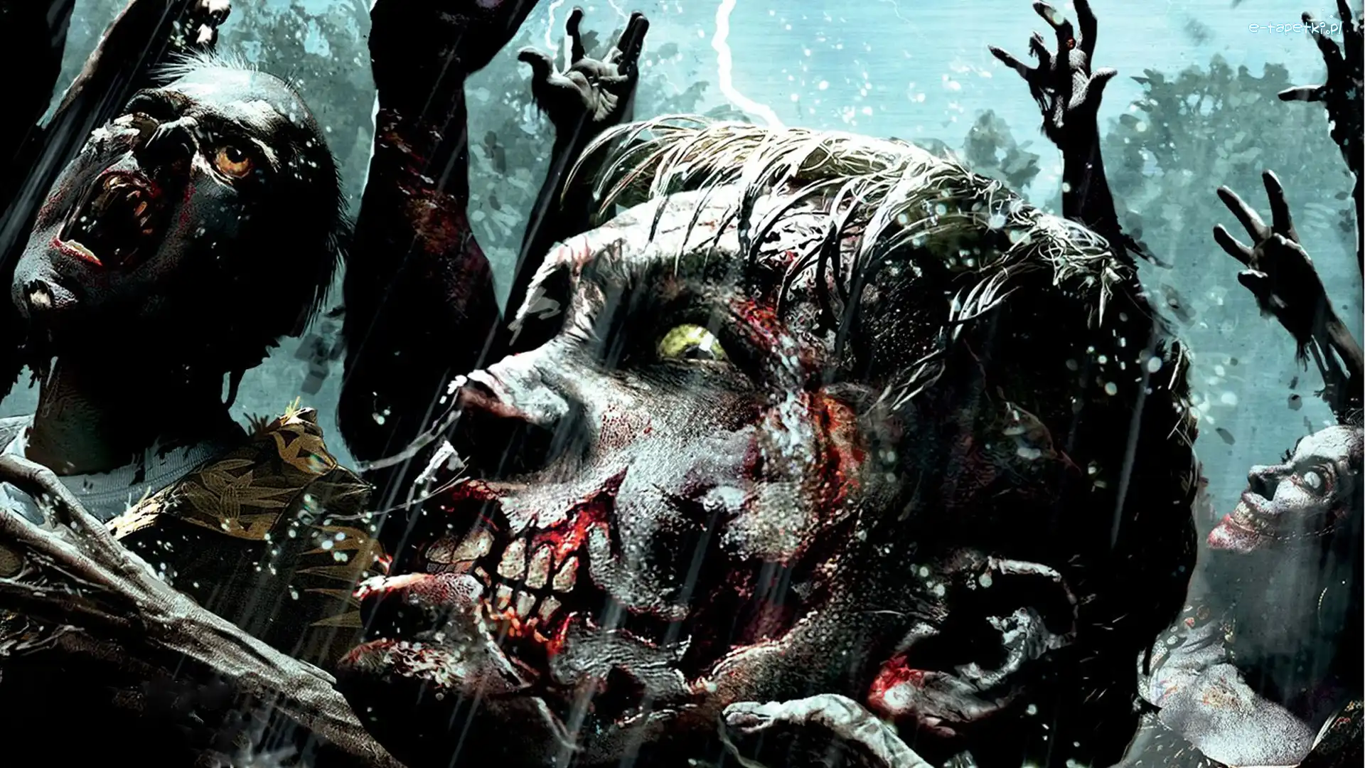 Ręce, Twarze, Zombi