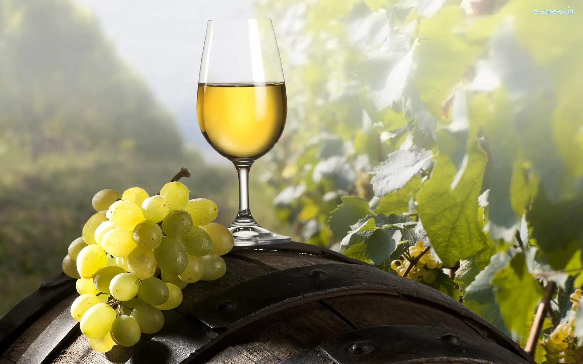 Białe, Kieliszek, Wino, Beczka, Winogrono