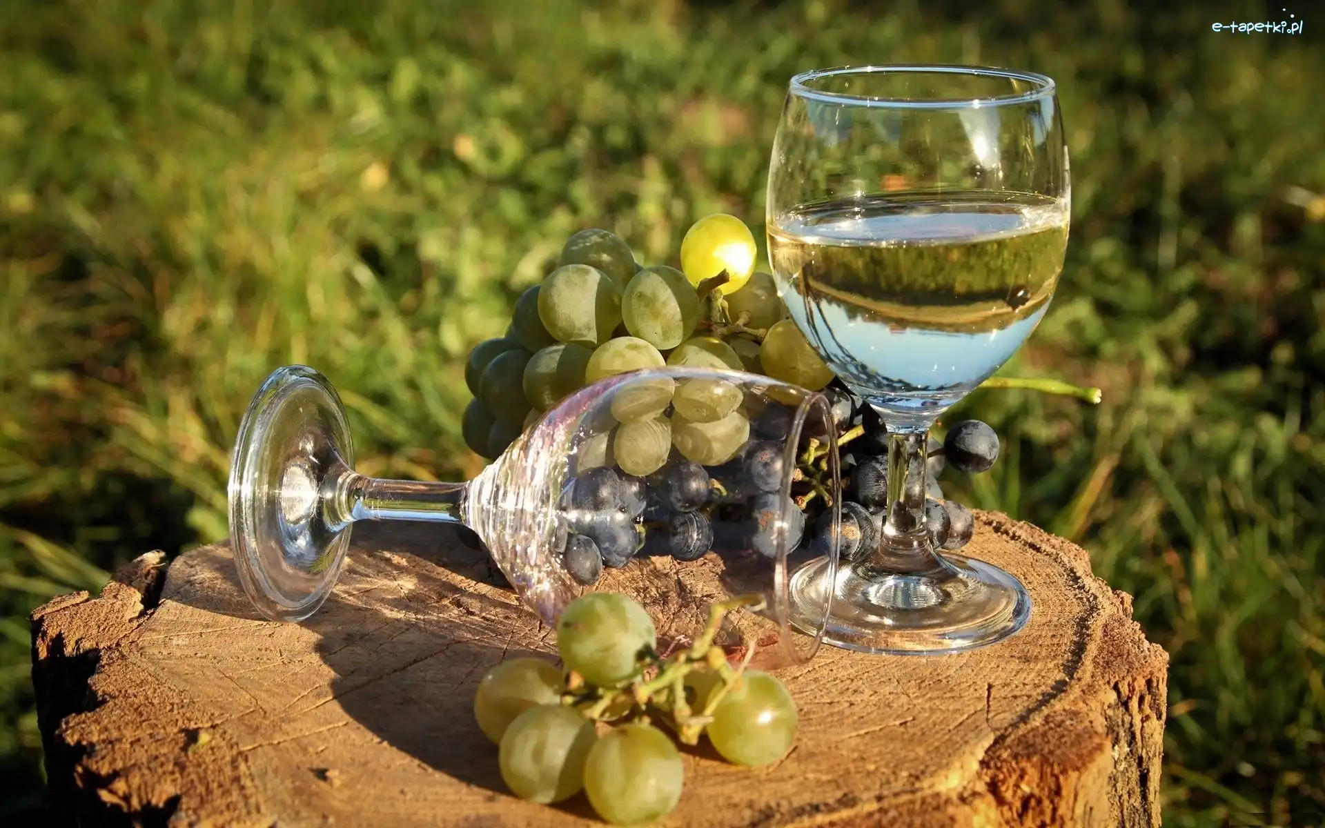Białe, Kieliszki, Wino, Winogrono, Pień