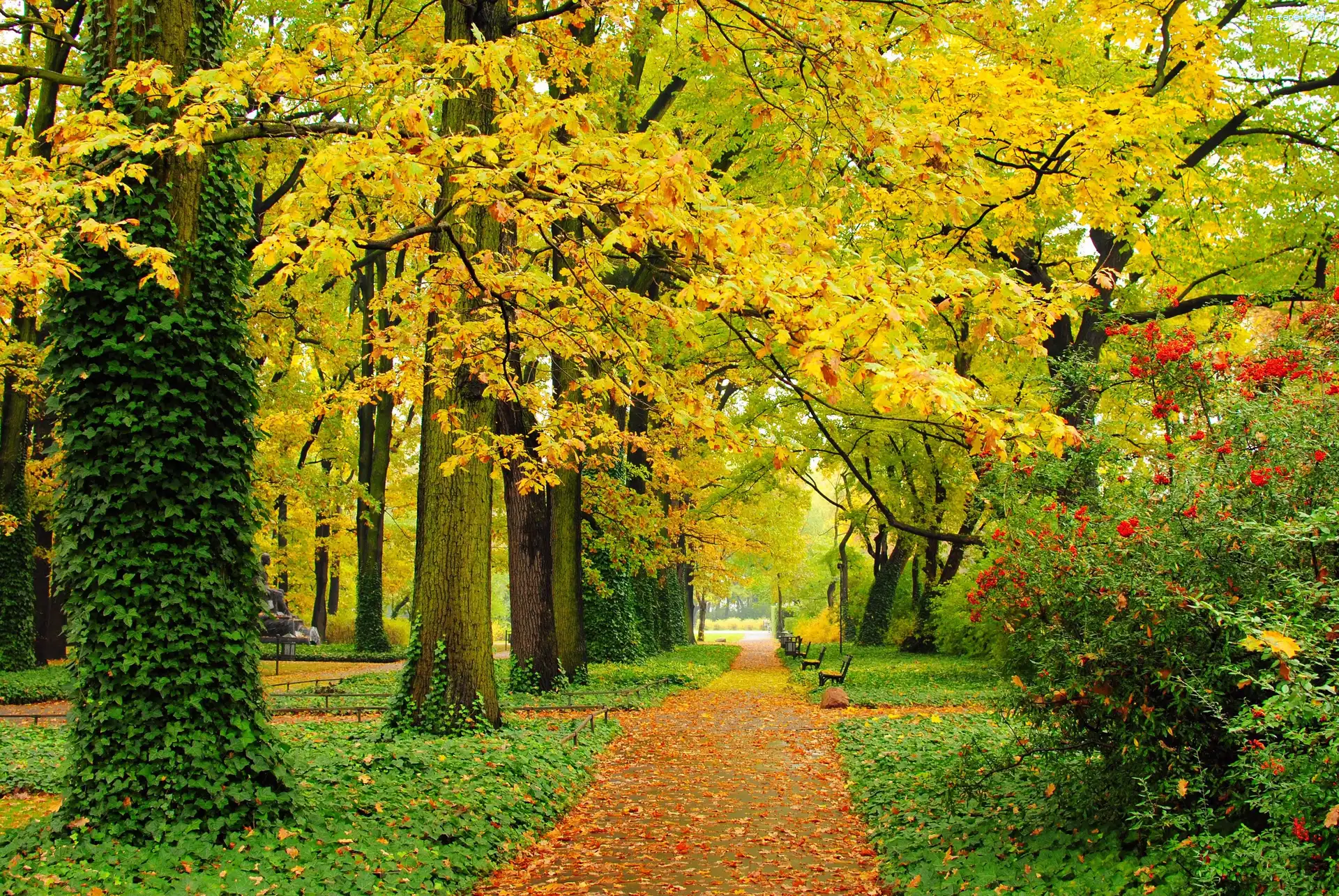 Park, Ławeczki, Alejki, Jesień, Liście