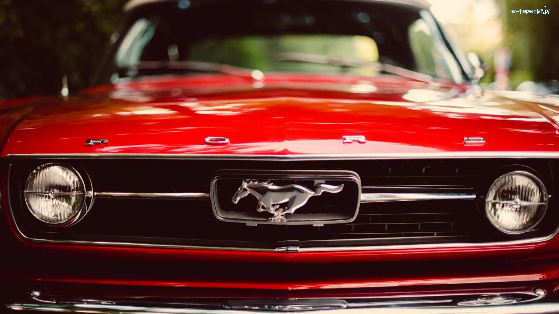 Ford, Rozmycie, Mustang, Czerwony