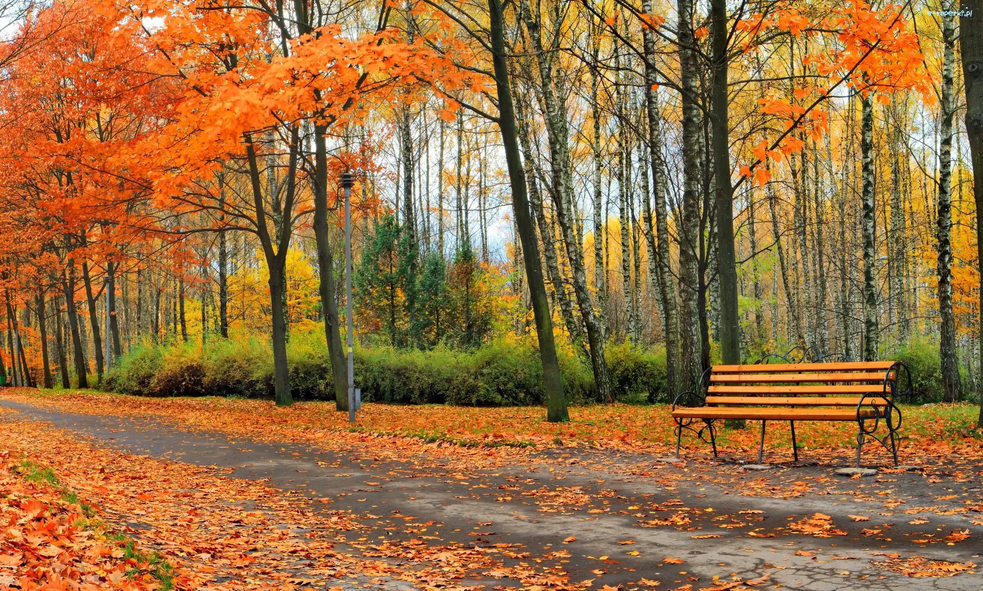 Liście, Drzewa, Ławka, Jesień, Droga, Park