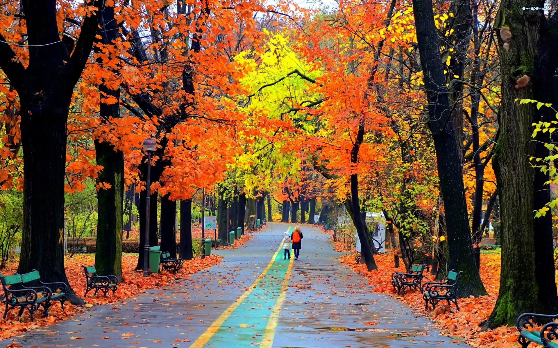 Park, Ławki, Alejki, Jesień, Ludzie
