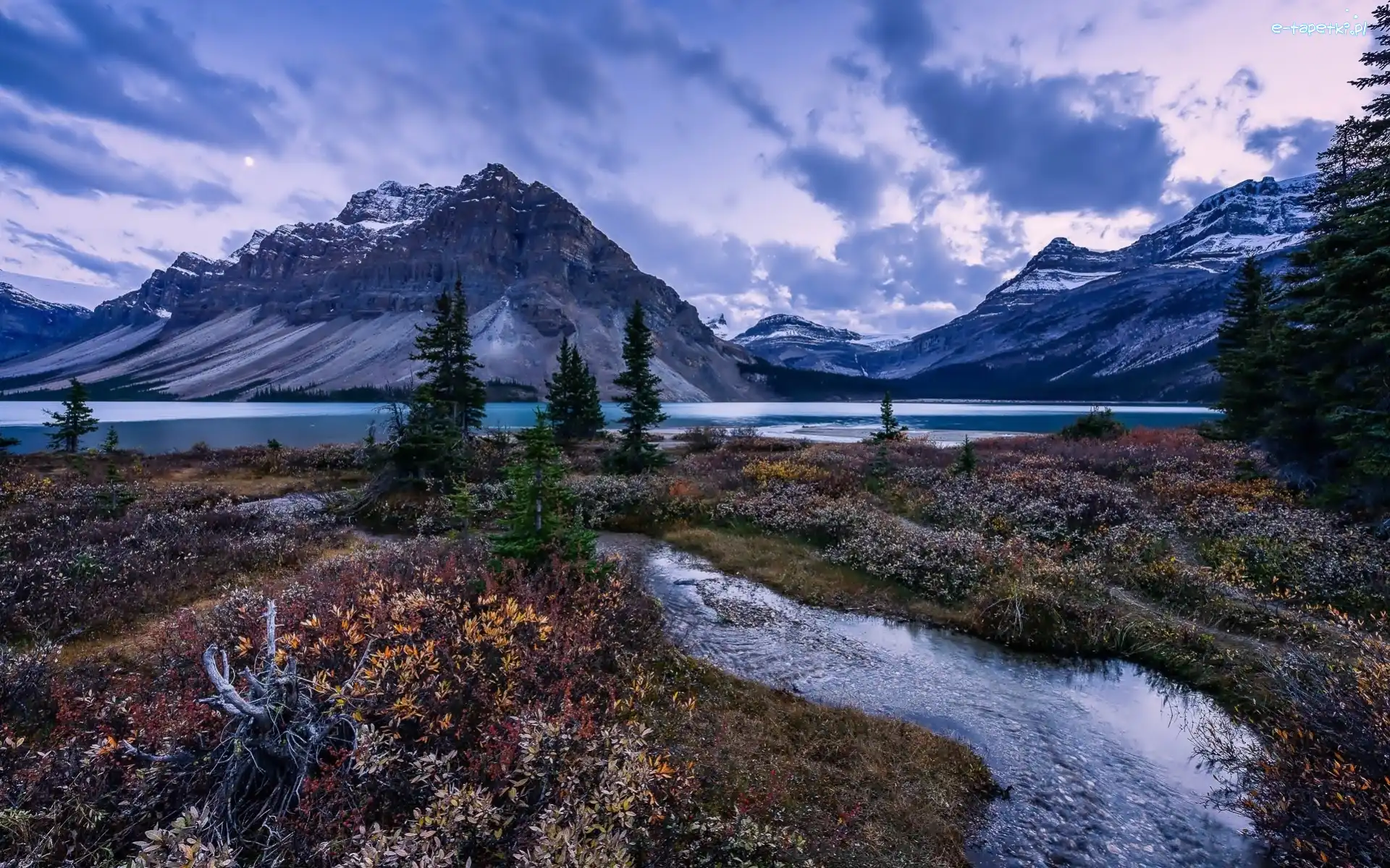 Kanada, Góry, Park Narodowy Banff, Drzewa, Jezioro Bow Lake