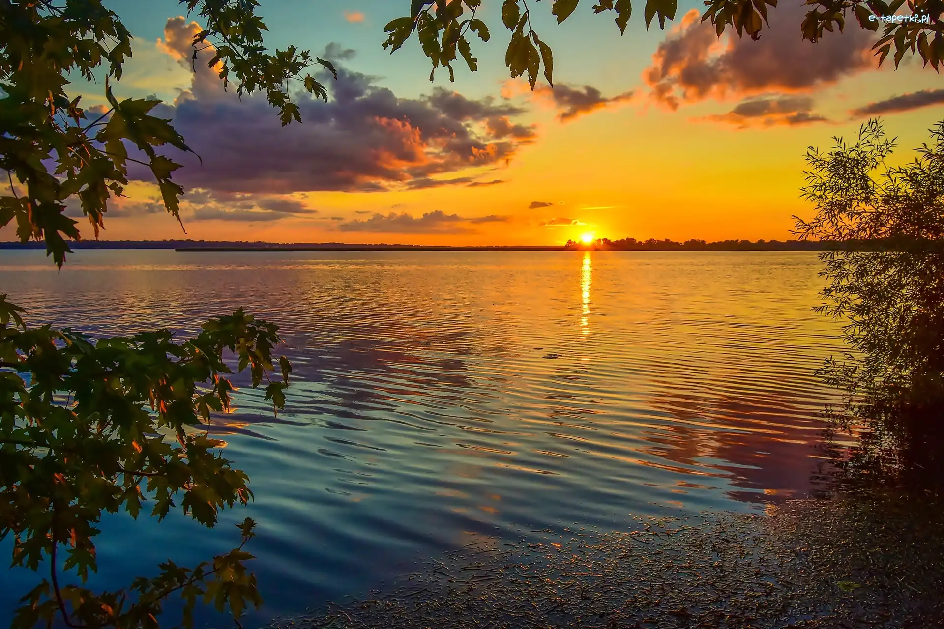Zachód Słońca, Liście, Drzewo, Jezioro