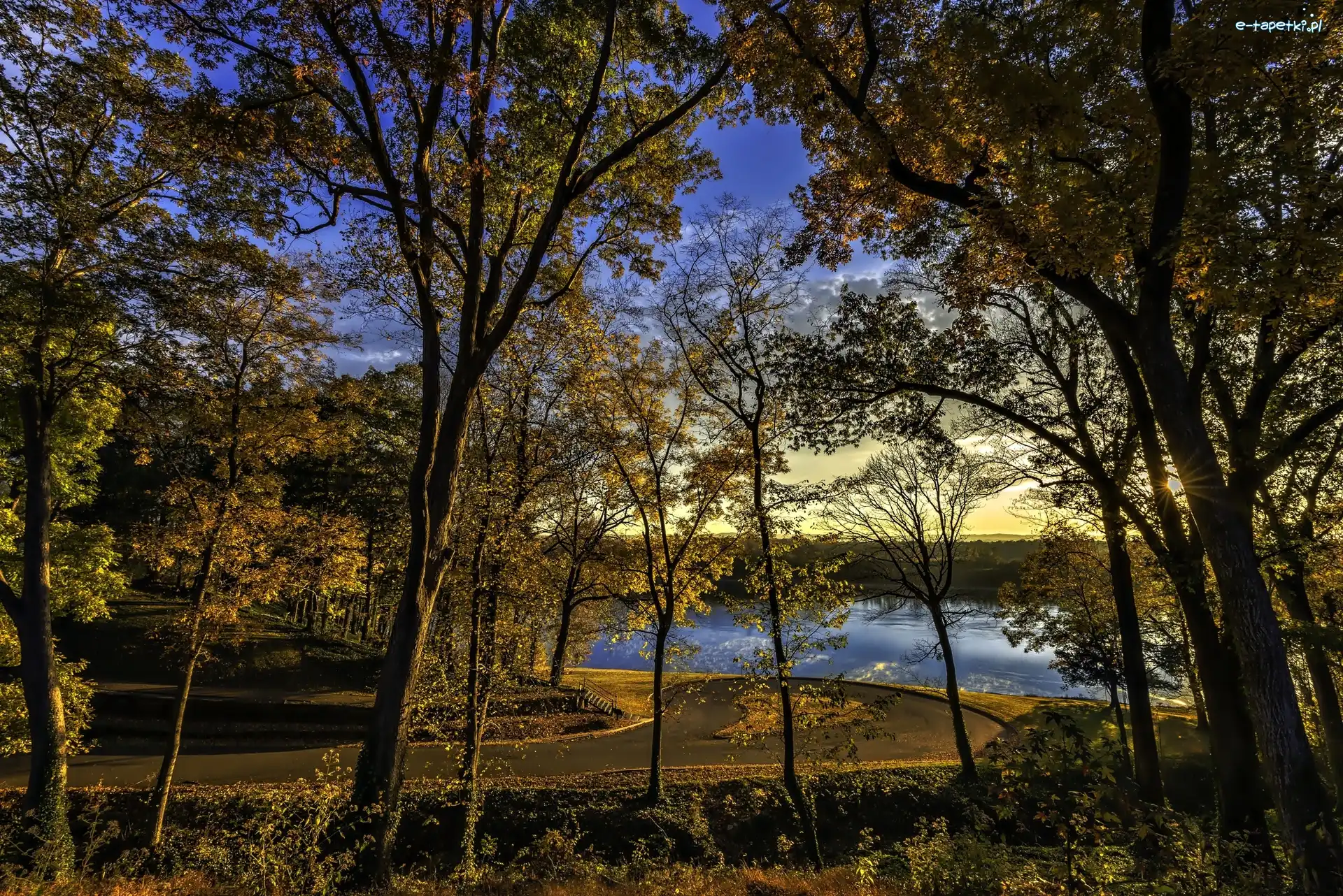 Park, Jezioro, Droga