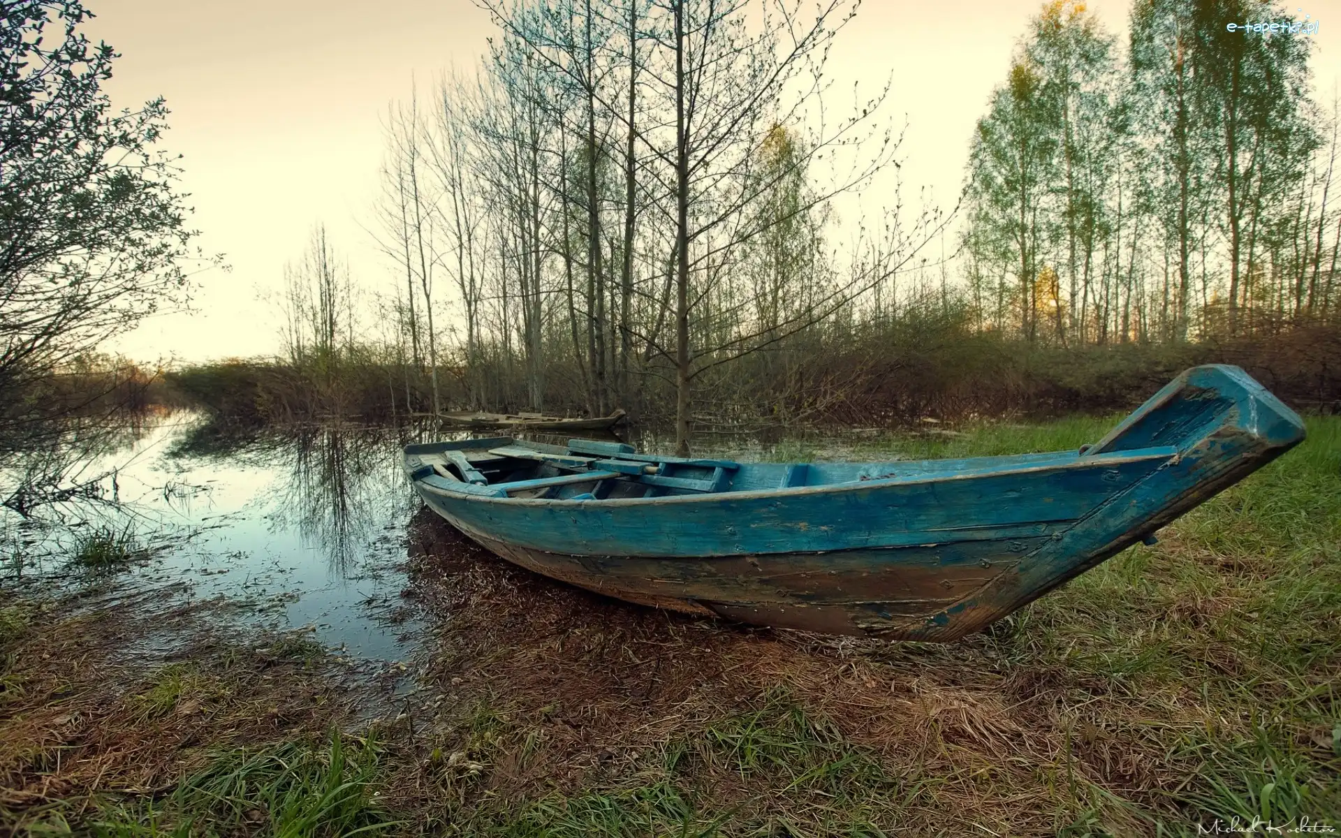 Łódź, Jesień, Drzewa, Bagno