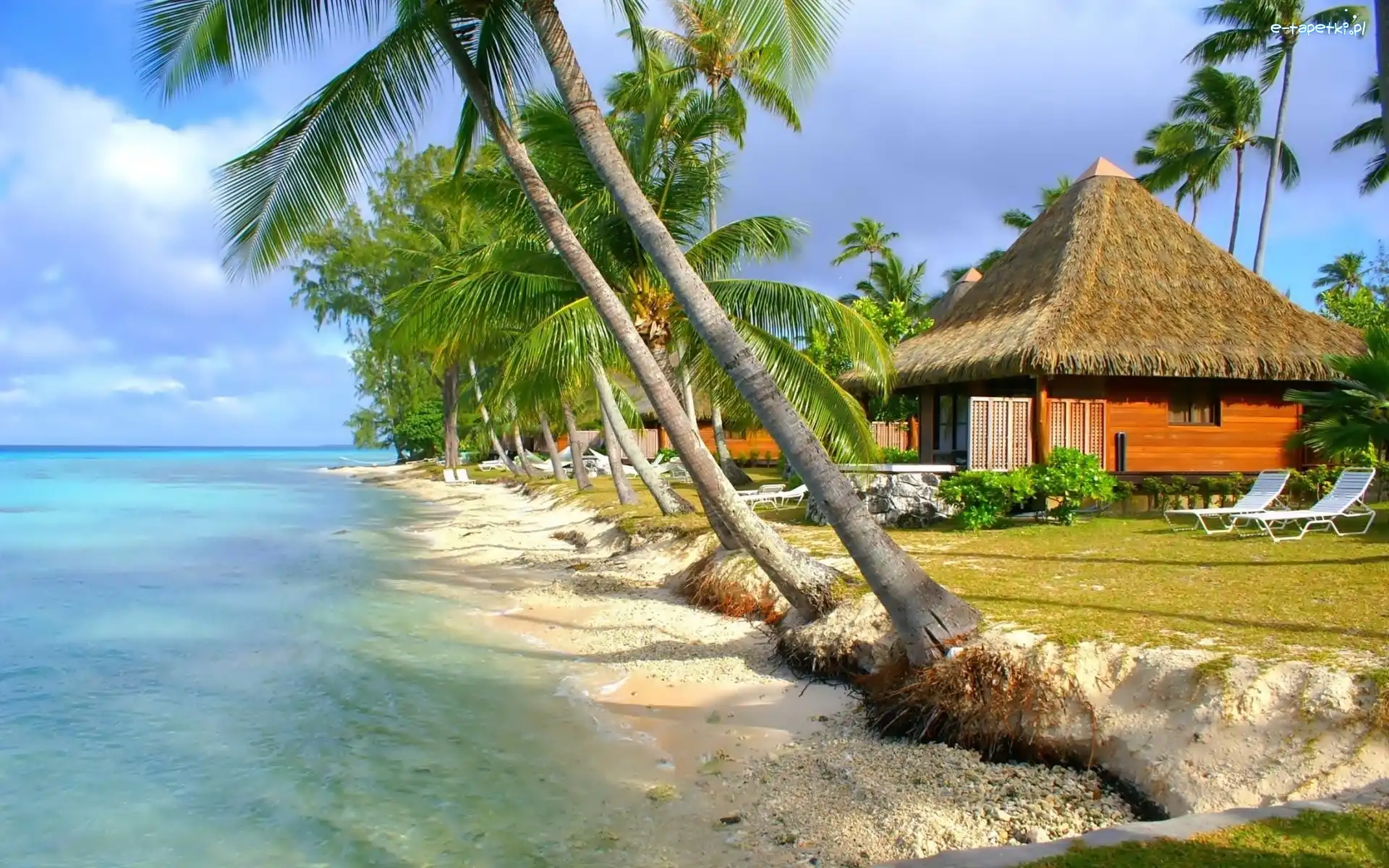 Polinezja Francuska, Domki, Atol Rangiroa, Morze, Palmy