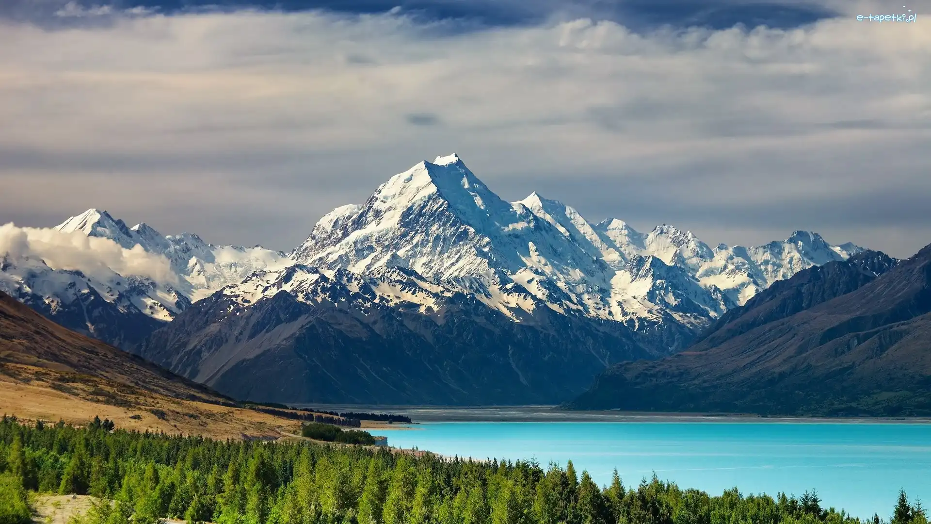 Las, Góra, Cooka, Zelandia, Nowa, Pukaki, Jezioro