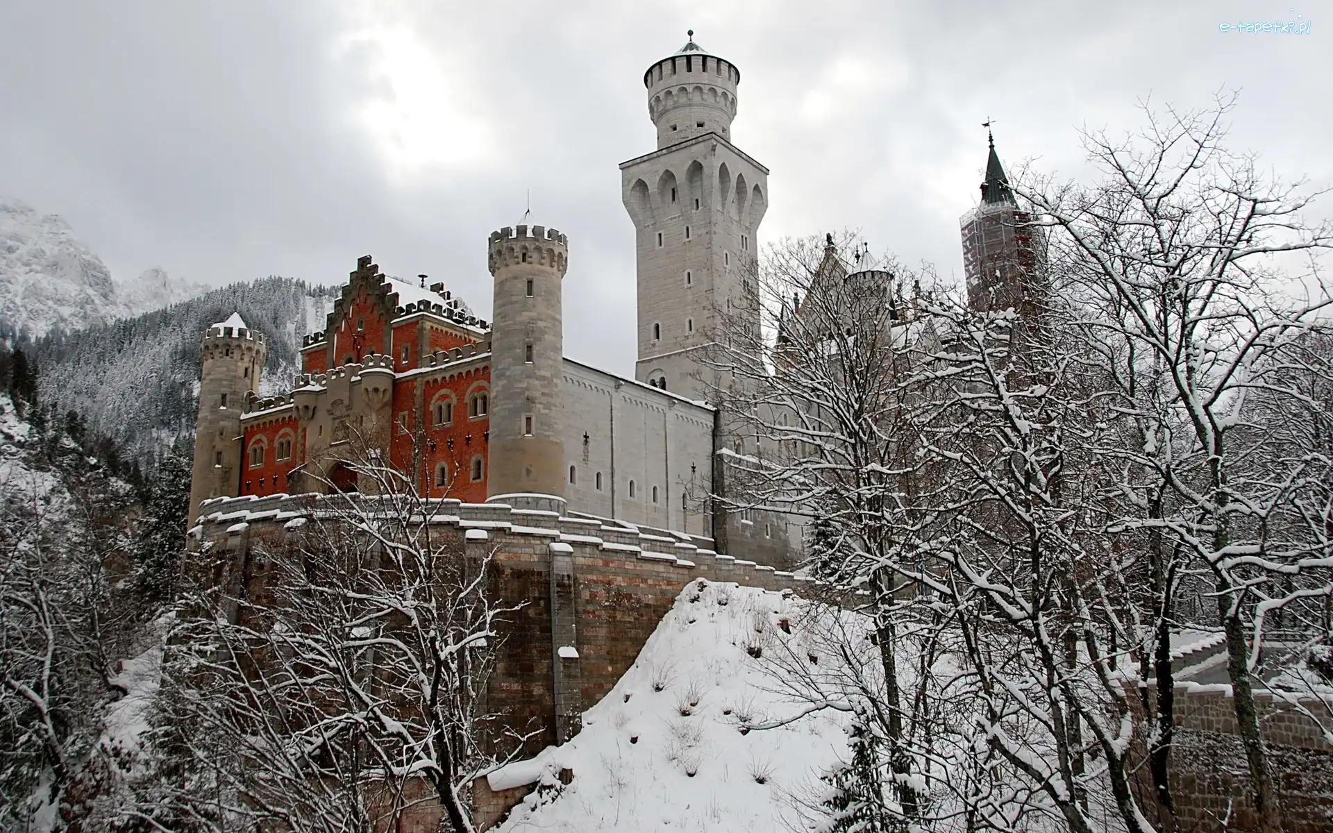 Drzewa, Zamek Neuschwanstein, Skały, Zima, Bawaria, Niemcy