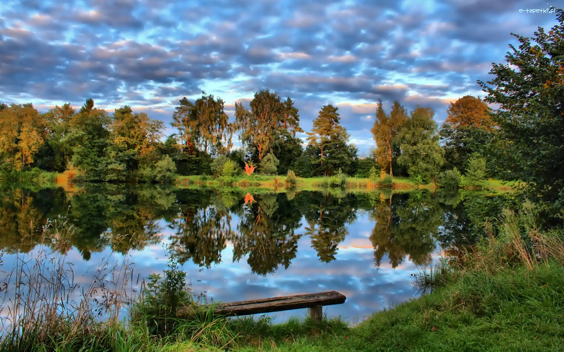Jezioro, Ławka, Chmury, Las