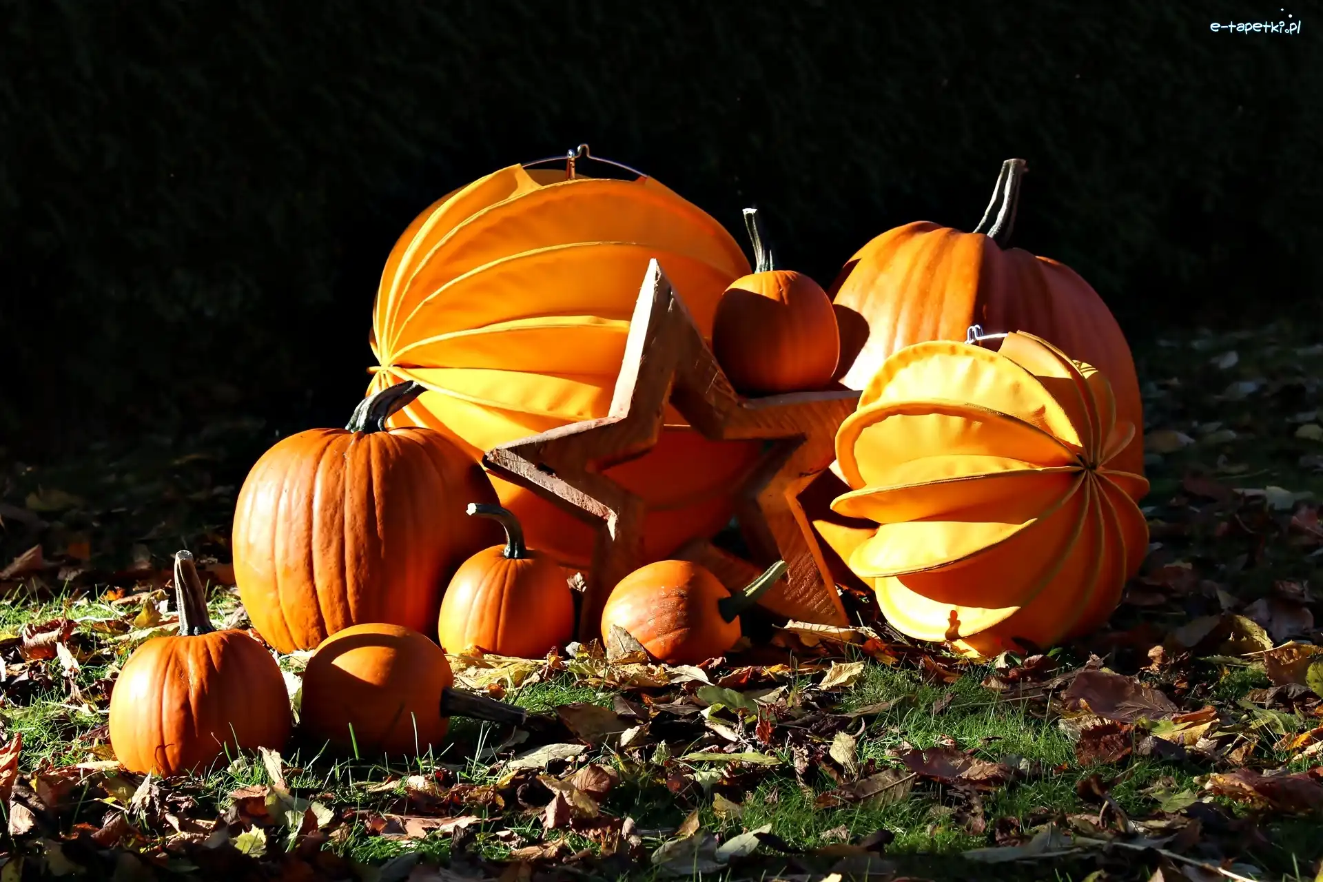 Dynie, Gwiazda, Liście, Halloween