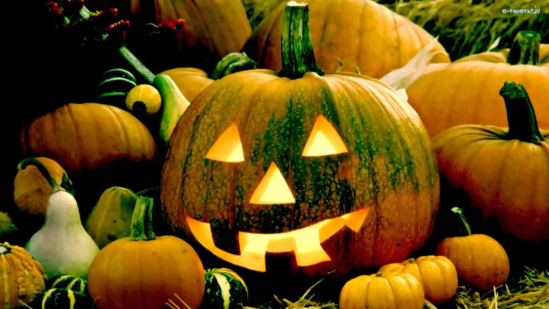 Dynie, Halloween