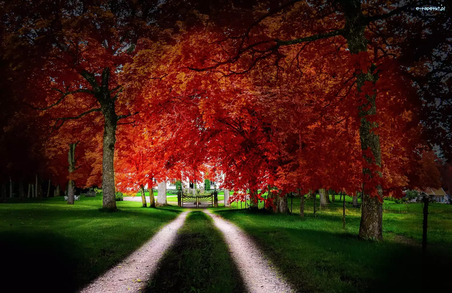 Park, Brama, Aleja, Jesień, Dworek