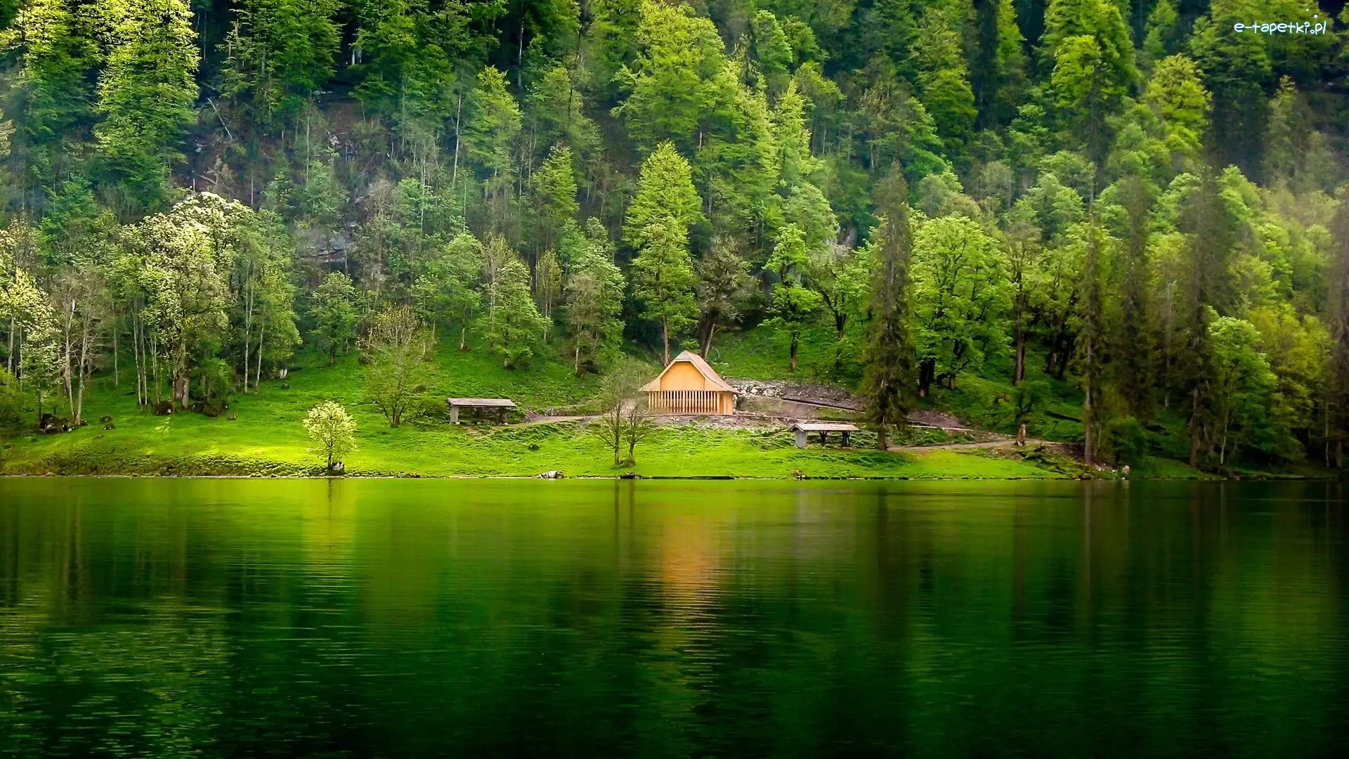 Las, Domek, Ławki, Góra, Jezioro, Zielone