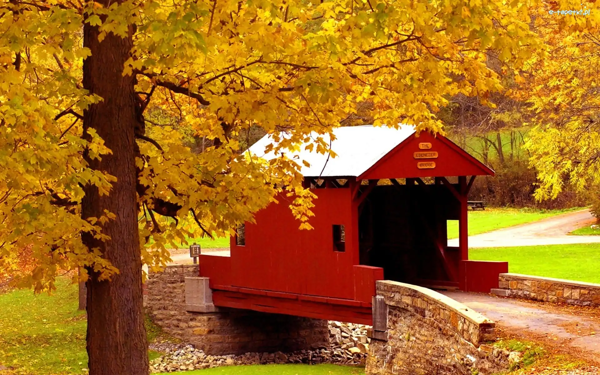 Drzewa, Mostek, Alejki, Jesień, Rzeka, Park