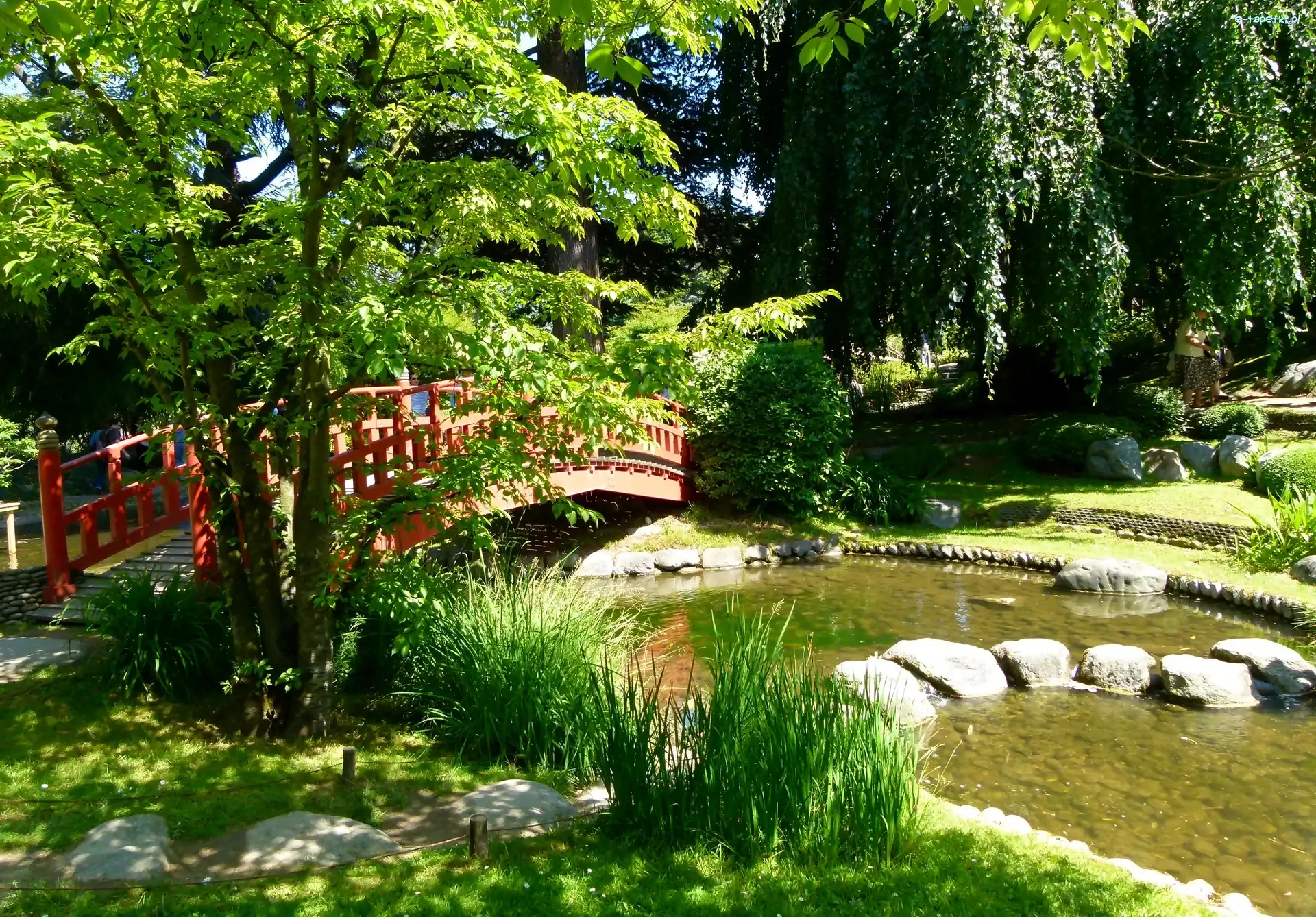 Most, Lato, Rzeka, Park
