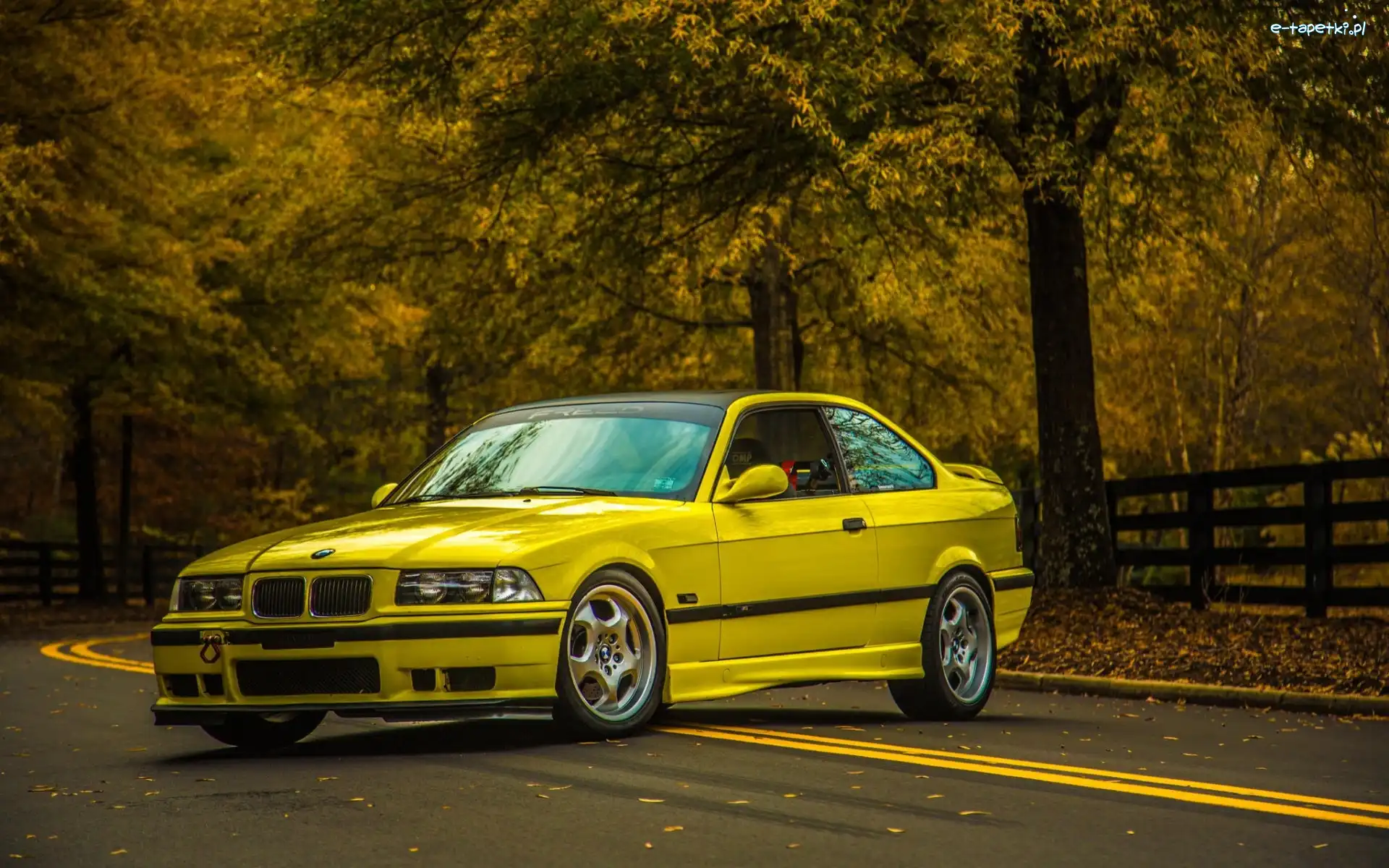 Żółte, E36, BMW, Drzewa, Szosa