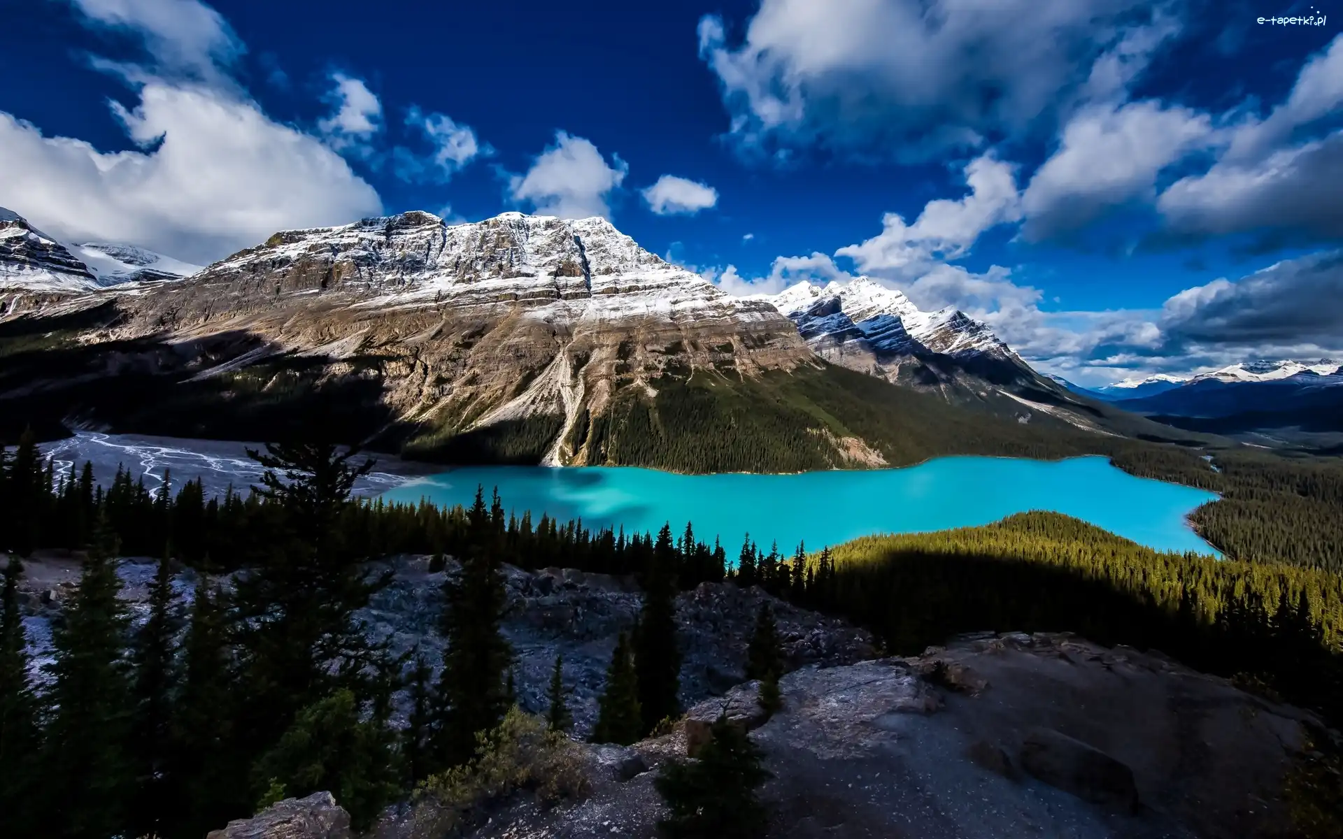 Jezioro Peyto Lake, Park Narodowy Banff, Góry, Kanada, Prowincja Alberta