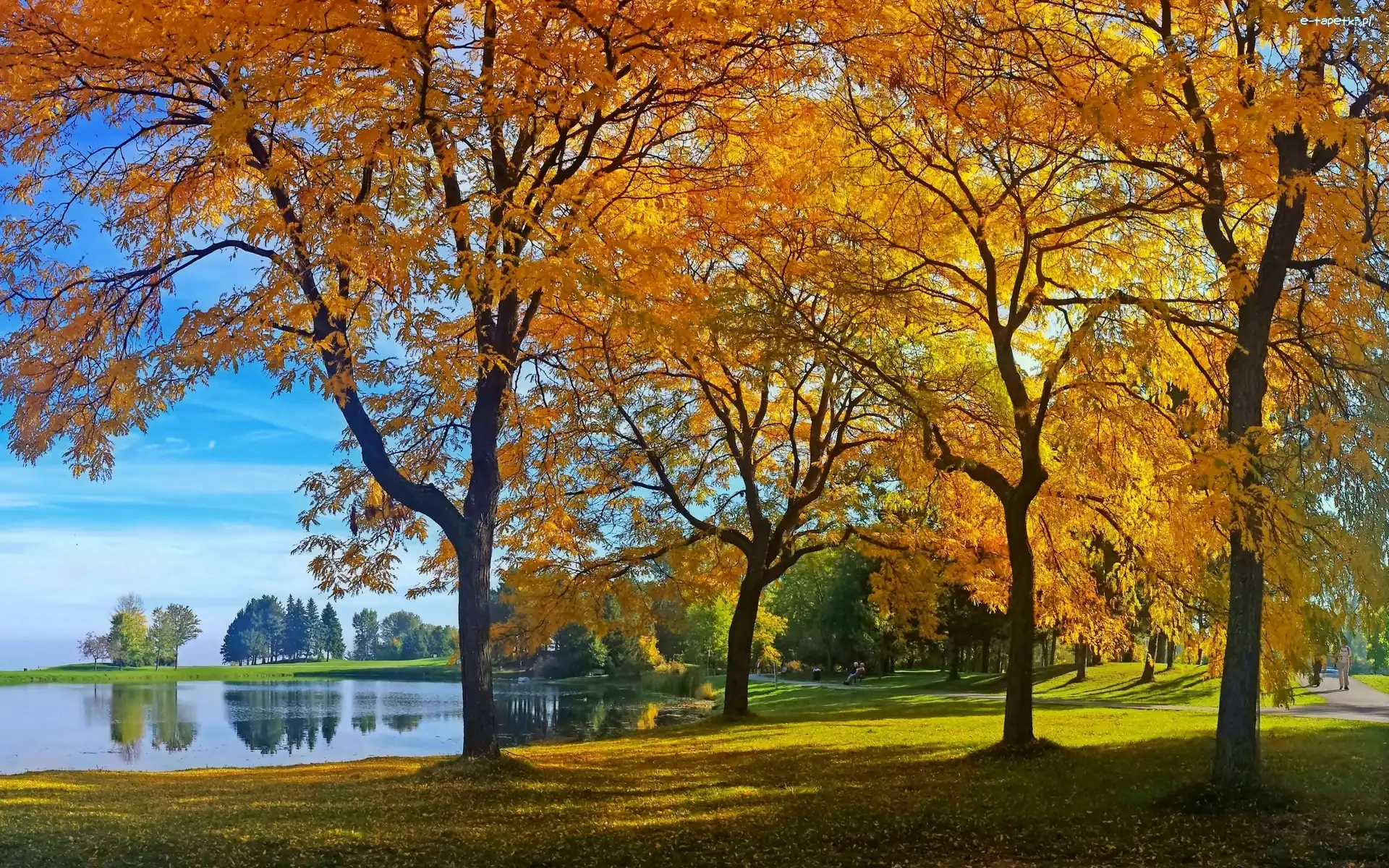 Alejki, Staw, Jesień, Park