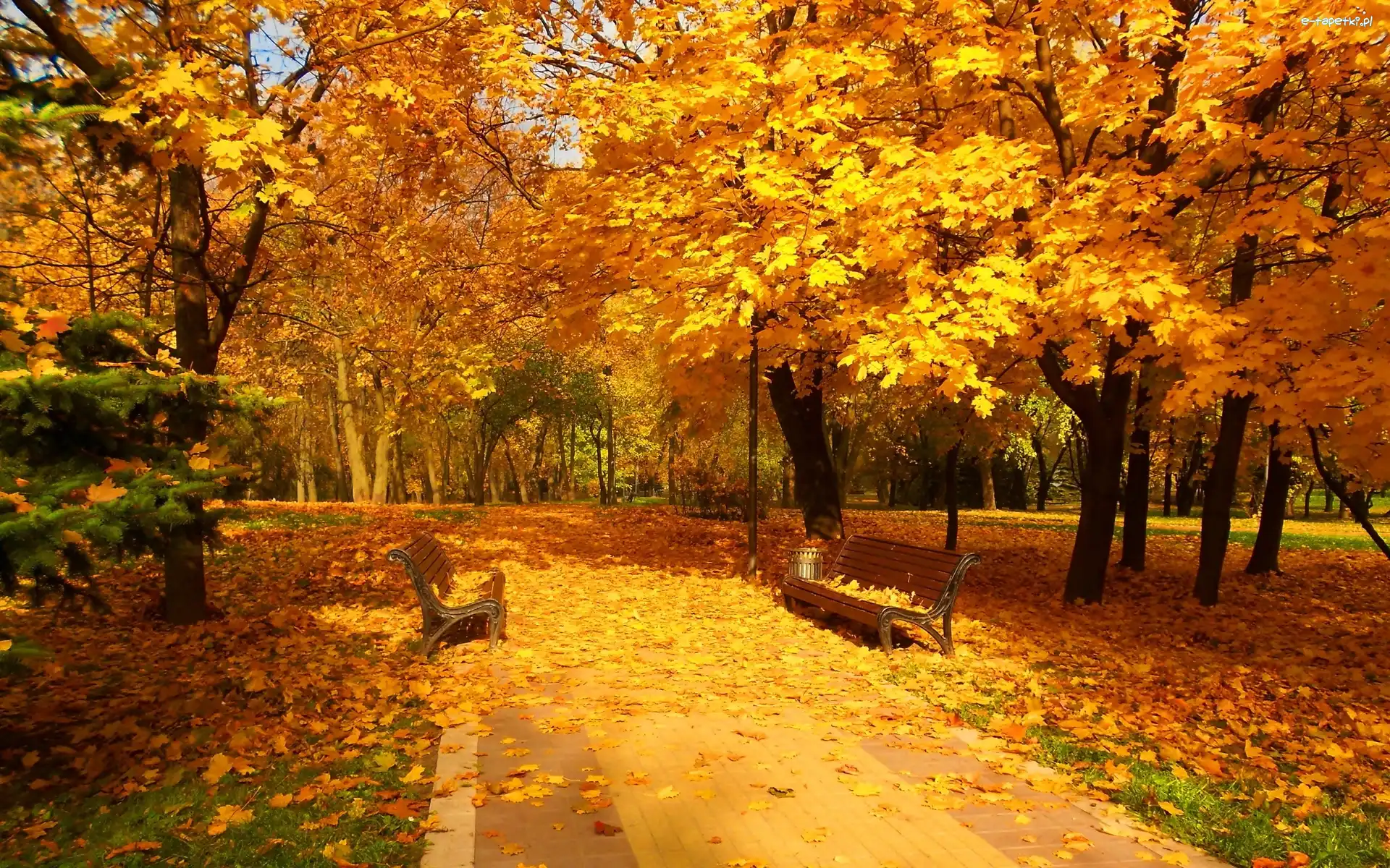 Liści, Z, Alejki, Ławeczki, Park, Jesień, Złota, Dywan, Piękna