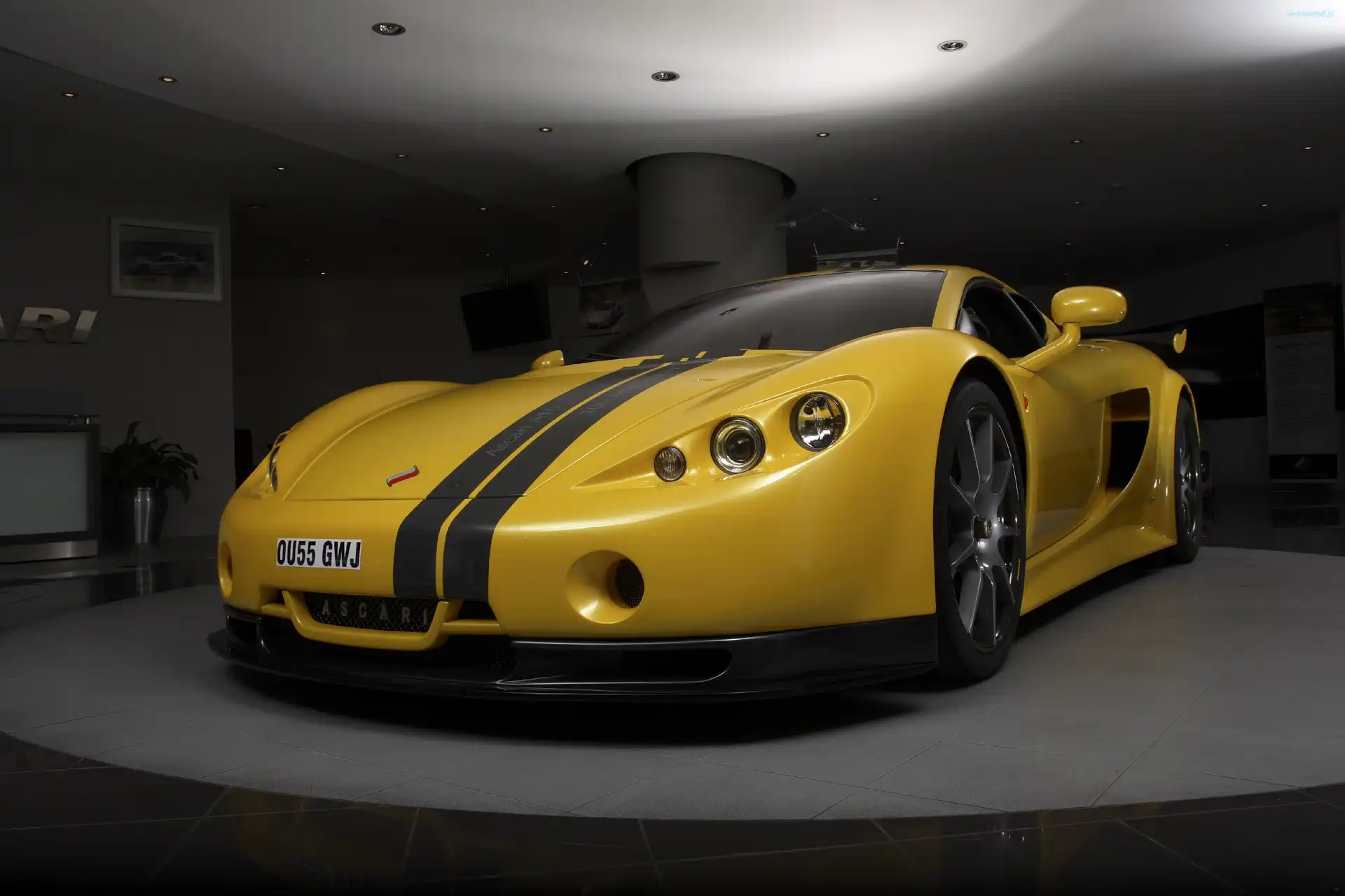 Ascari A10, Samochód