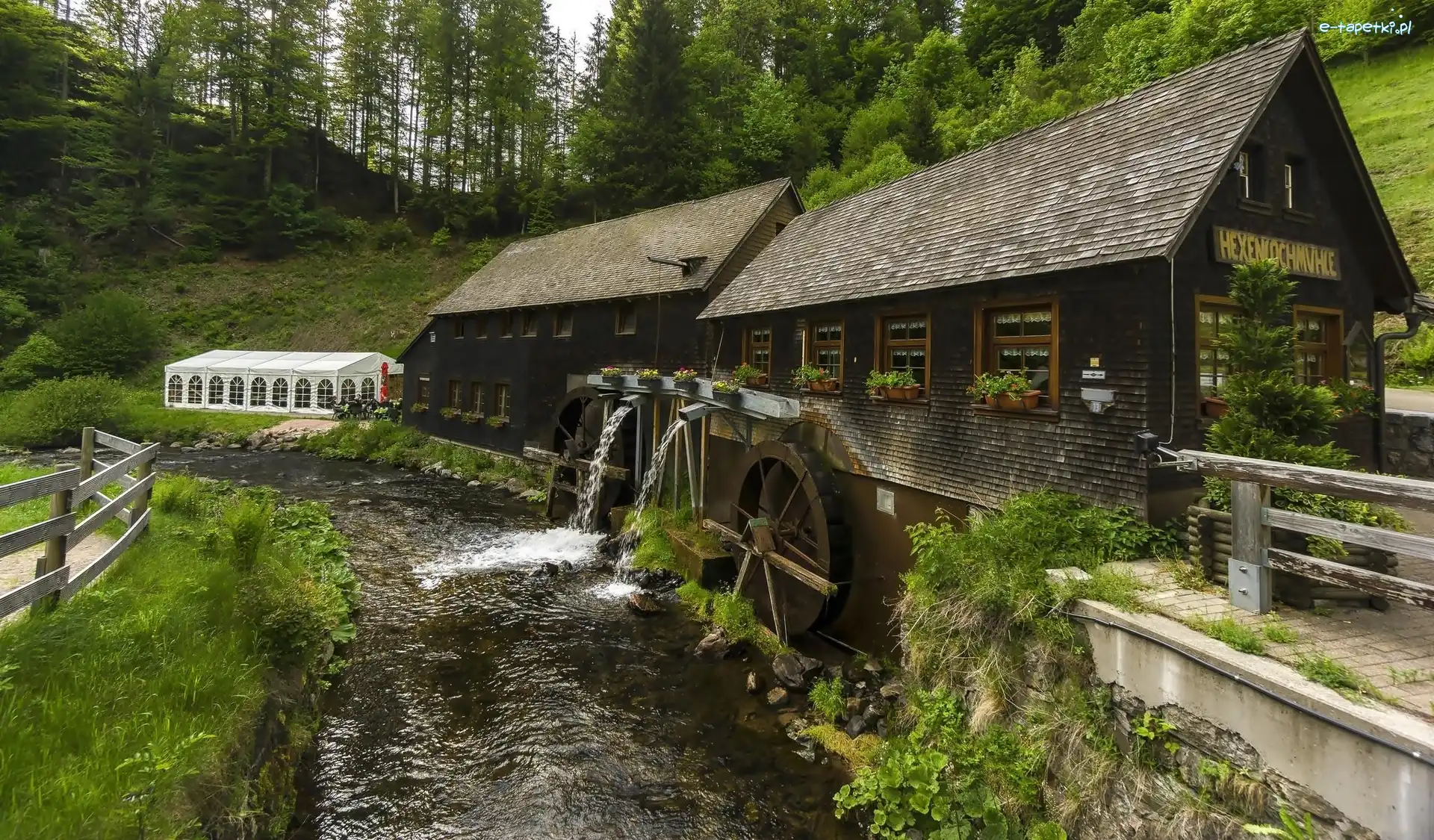 Młyn, Rzeka, Wodny, Droga, Las