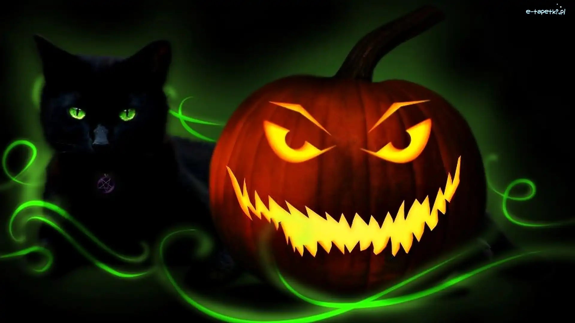 Halloween, Dynia, Świecąca, Kot, Czarny