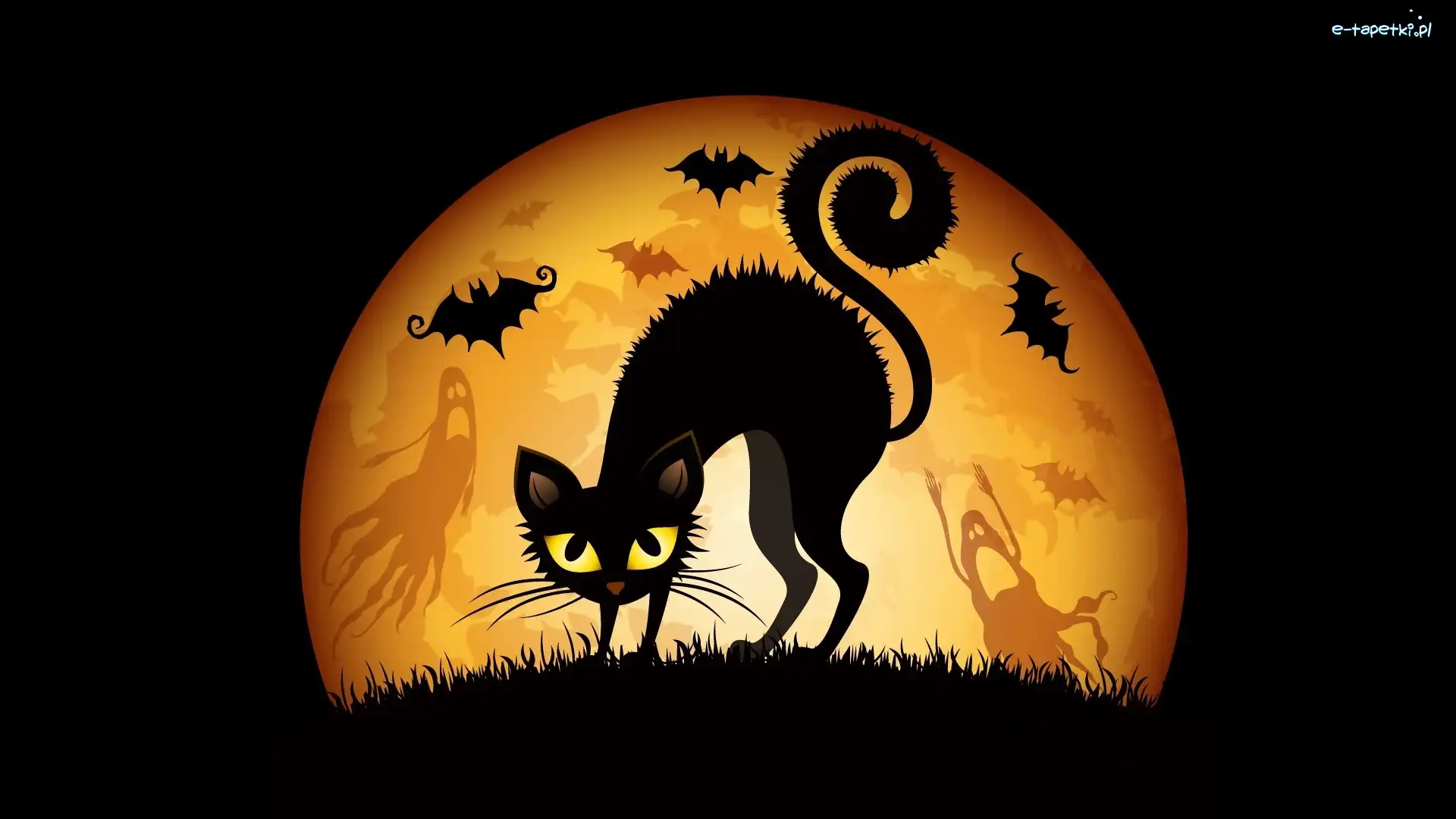 Nietoperze, Grafika, Halloween, Kot