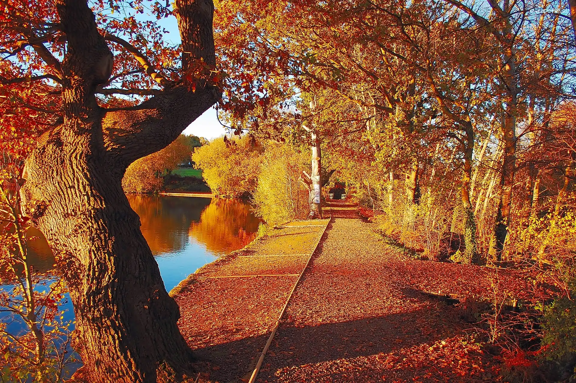 Staw, Jesień, Aleja, Park