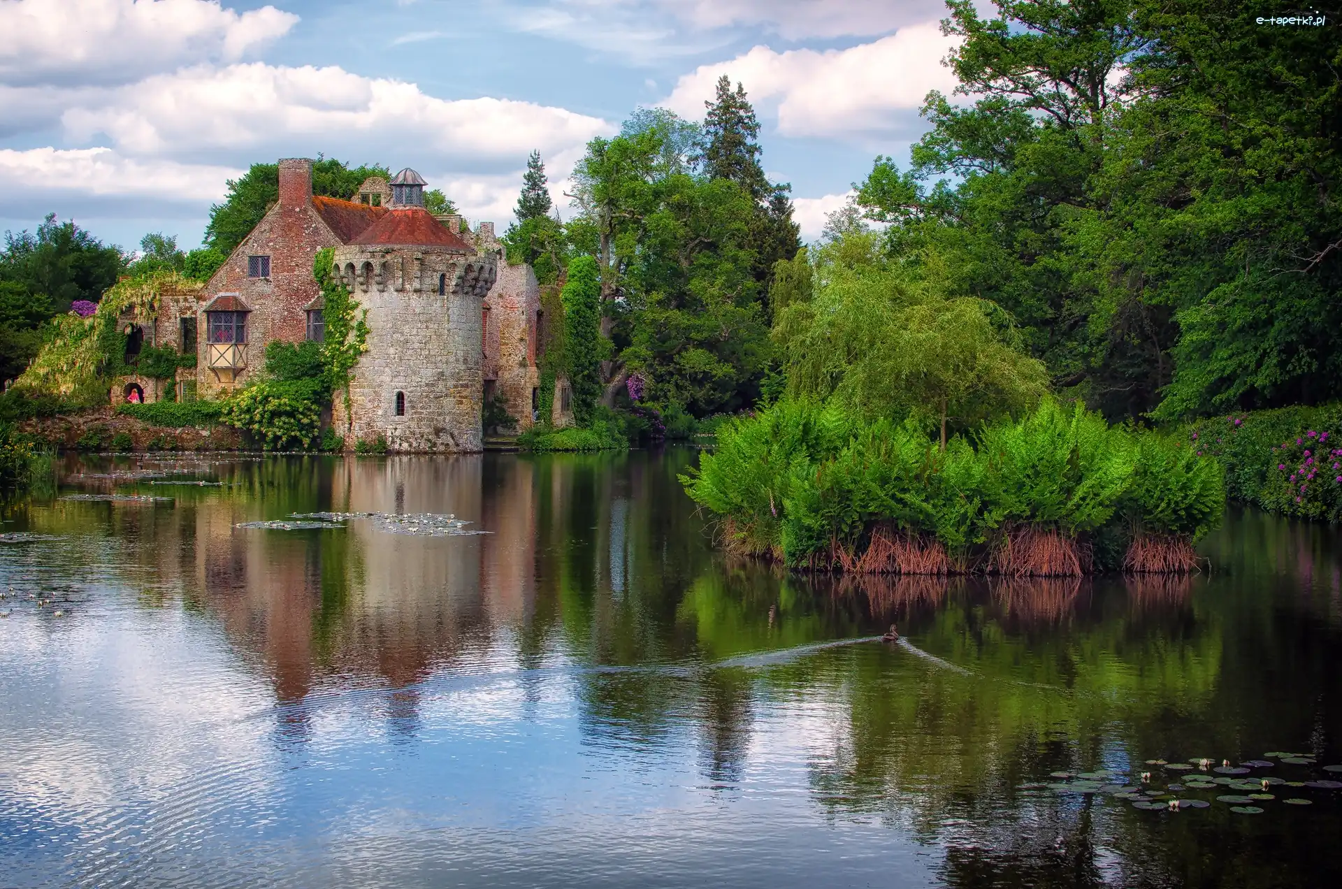 Anglia, Staw, Drzewa, Scotney Castle, Dworek, Hrabstwo Kent, Wieś Lamberhusrt