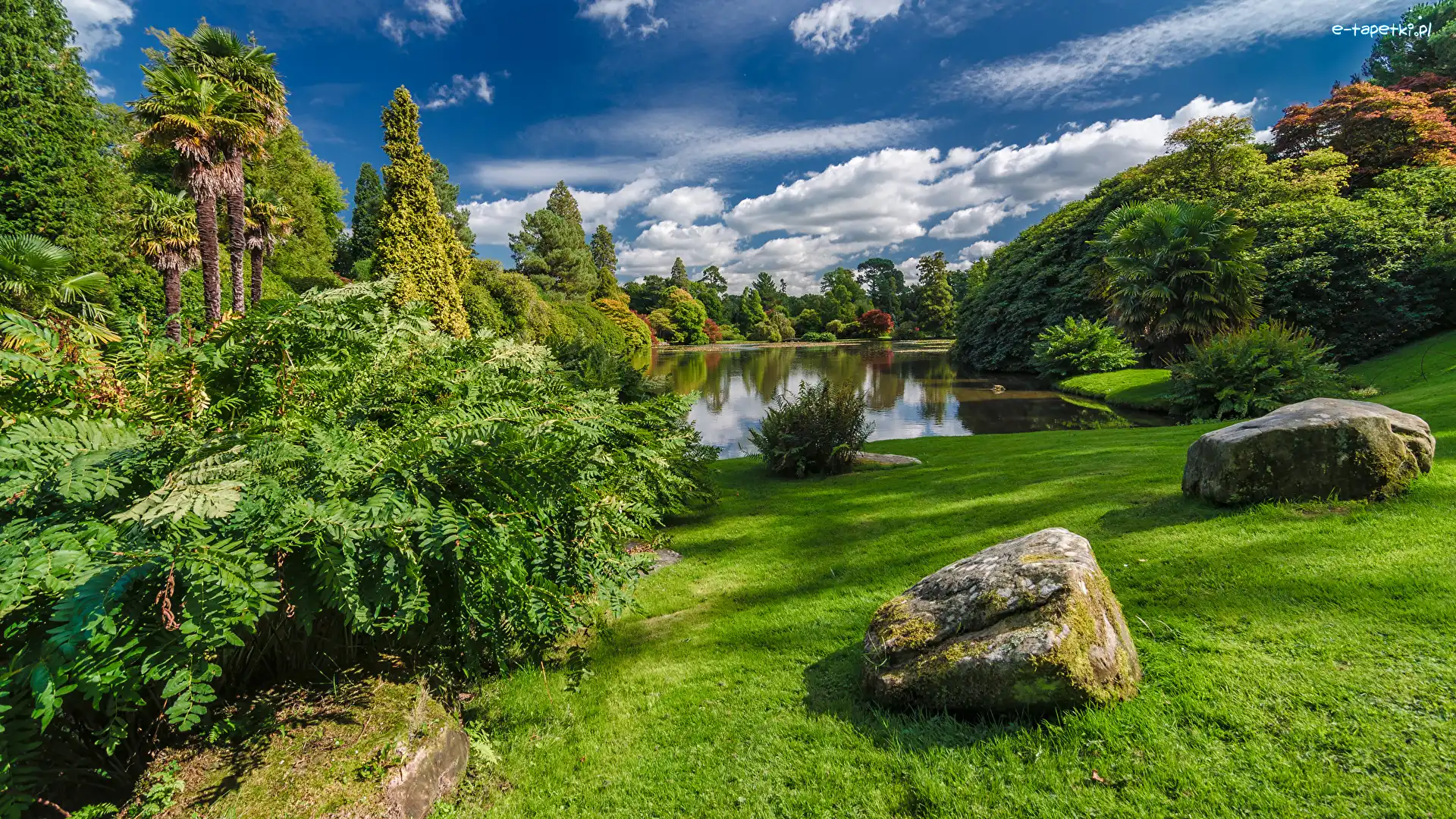 Park, Jesień, Kamienie, Jezioro