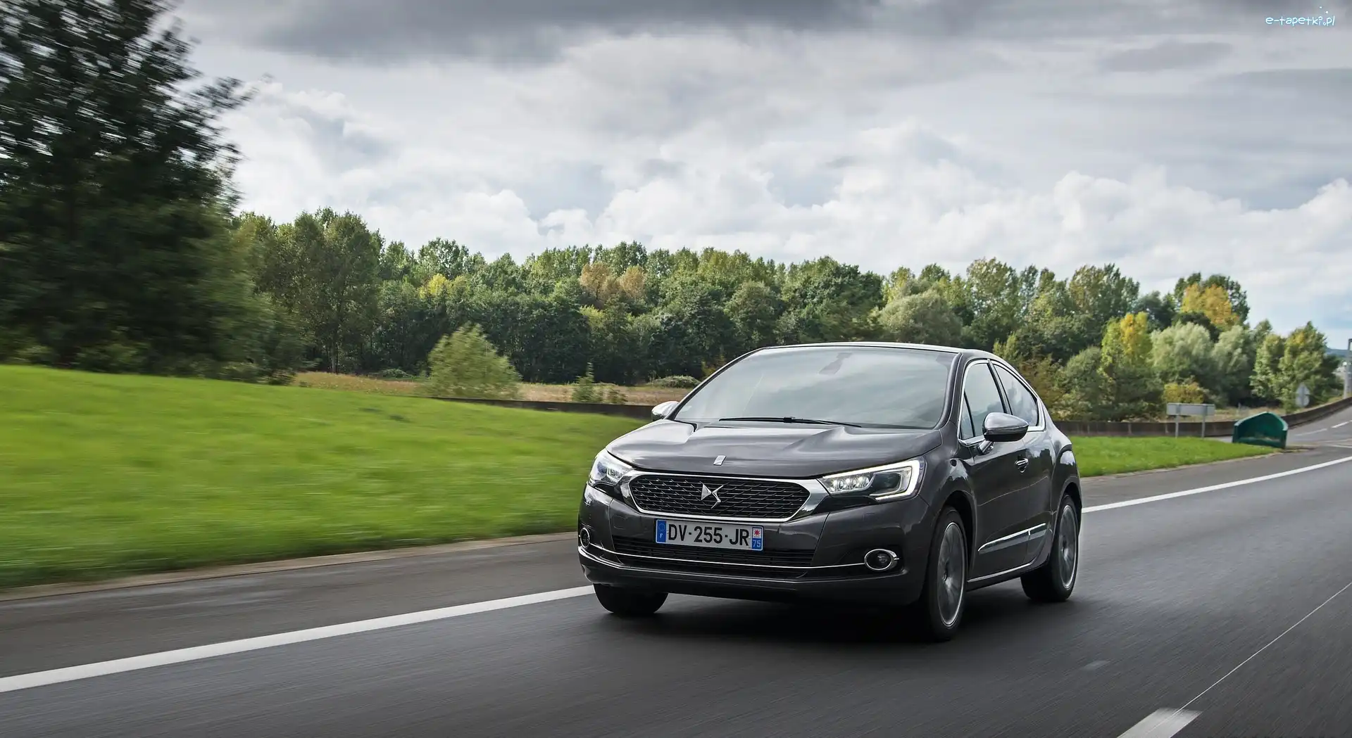 DS4, Drzewa, Droga, Citroen