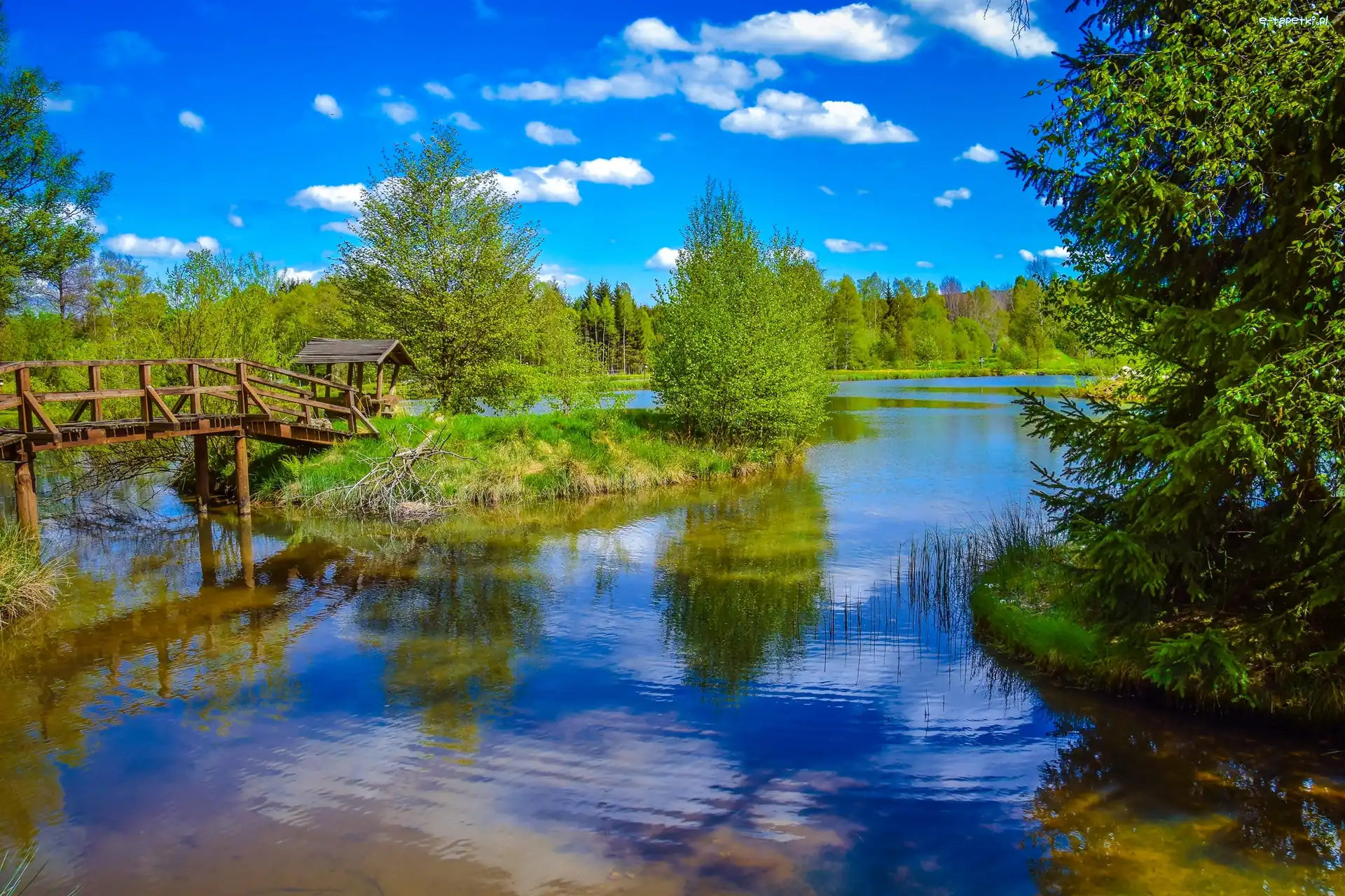 Las, Jezioro, Mostek