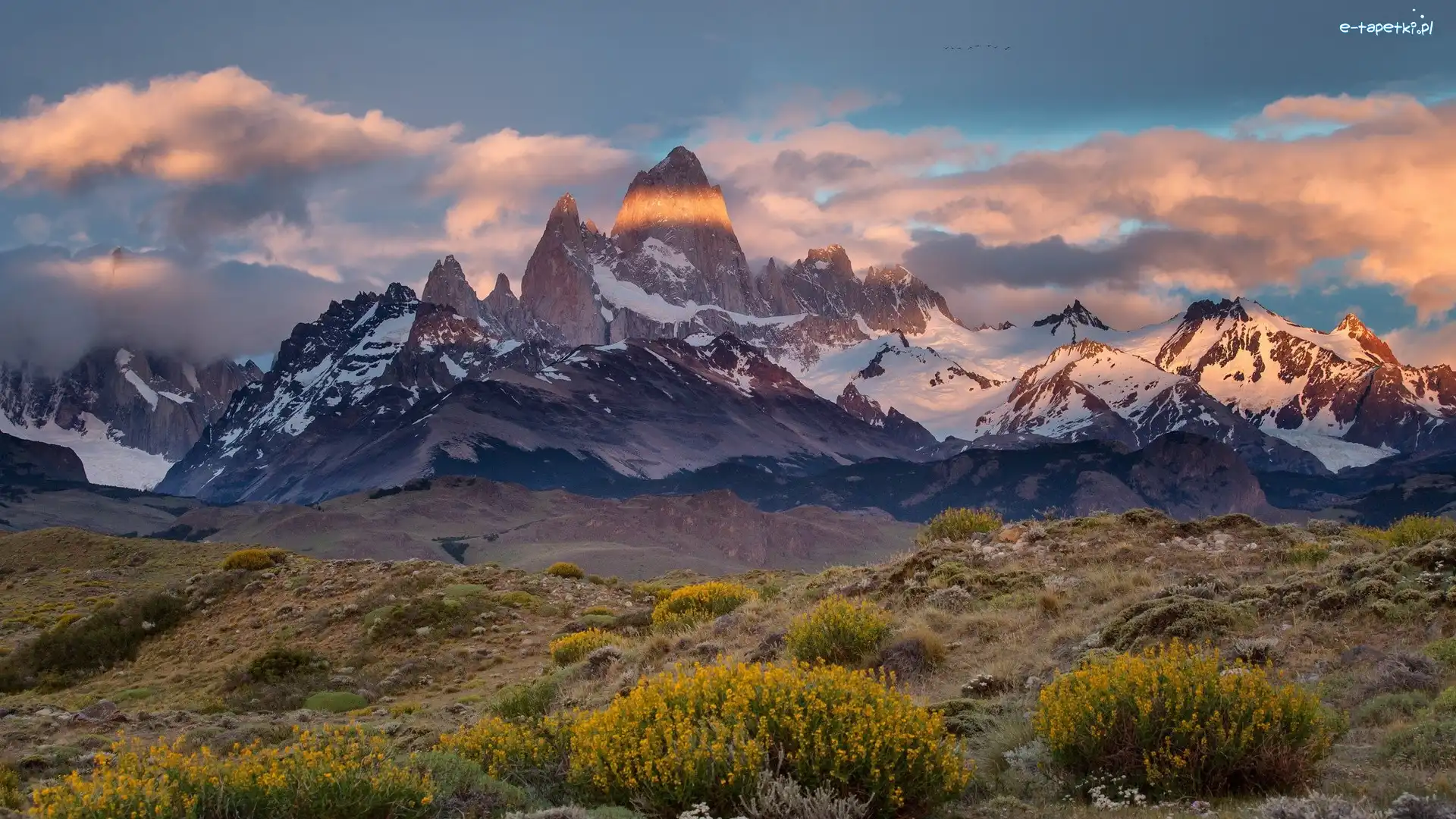 Argentyna, Chmurach, Śnieg, W, Góry, Patagonia, Roślinność