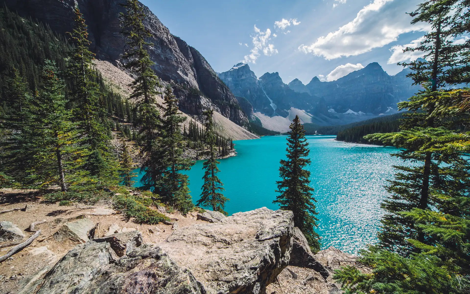 Kanada, Góry, Park Narodowy Banff, Jezioro Moraine Lake, Las