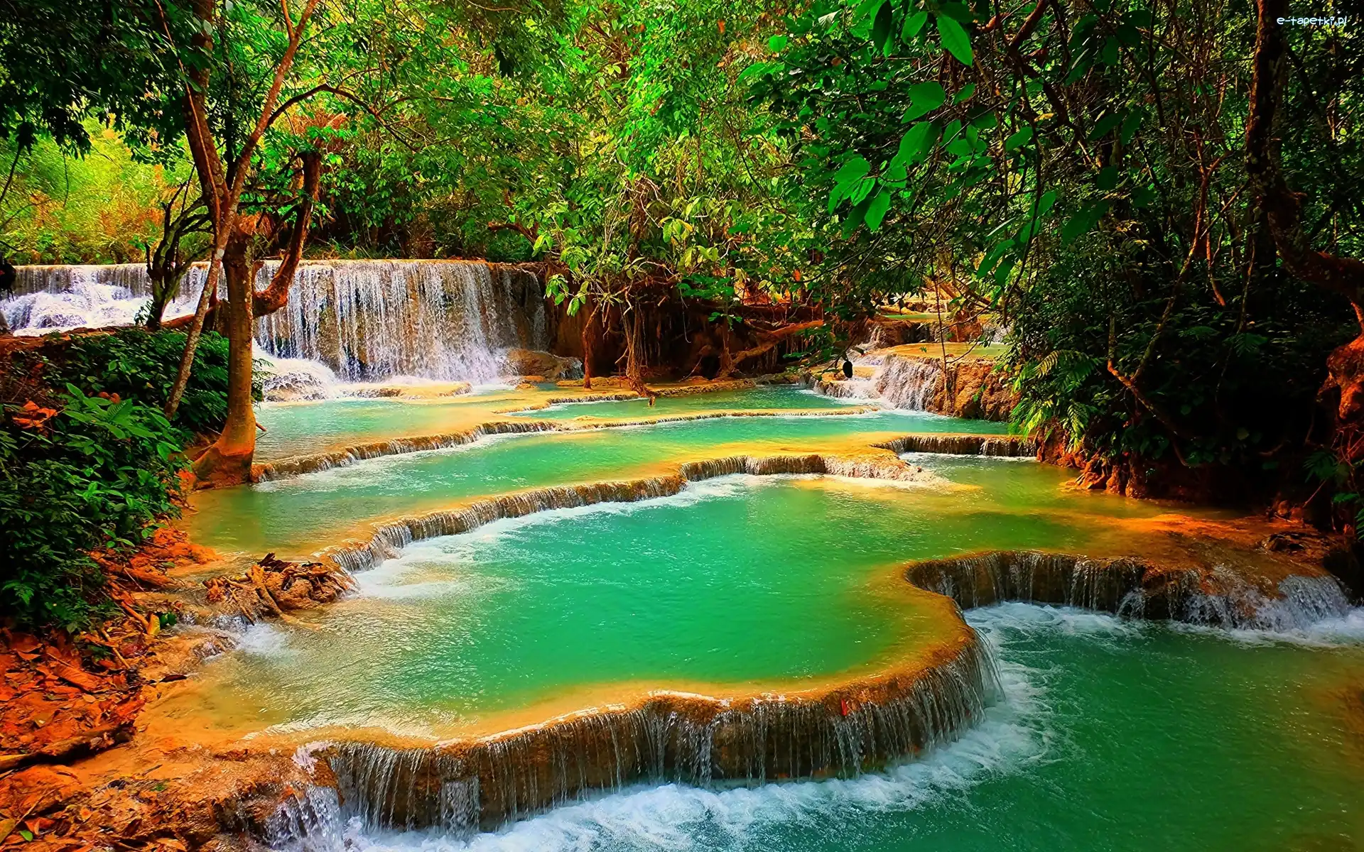Wodospad, Drzewa, Kuang Si, Laos, Las