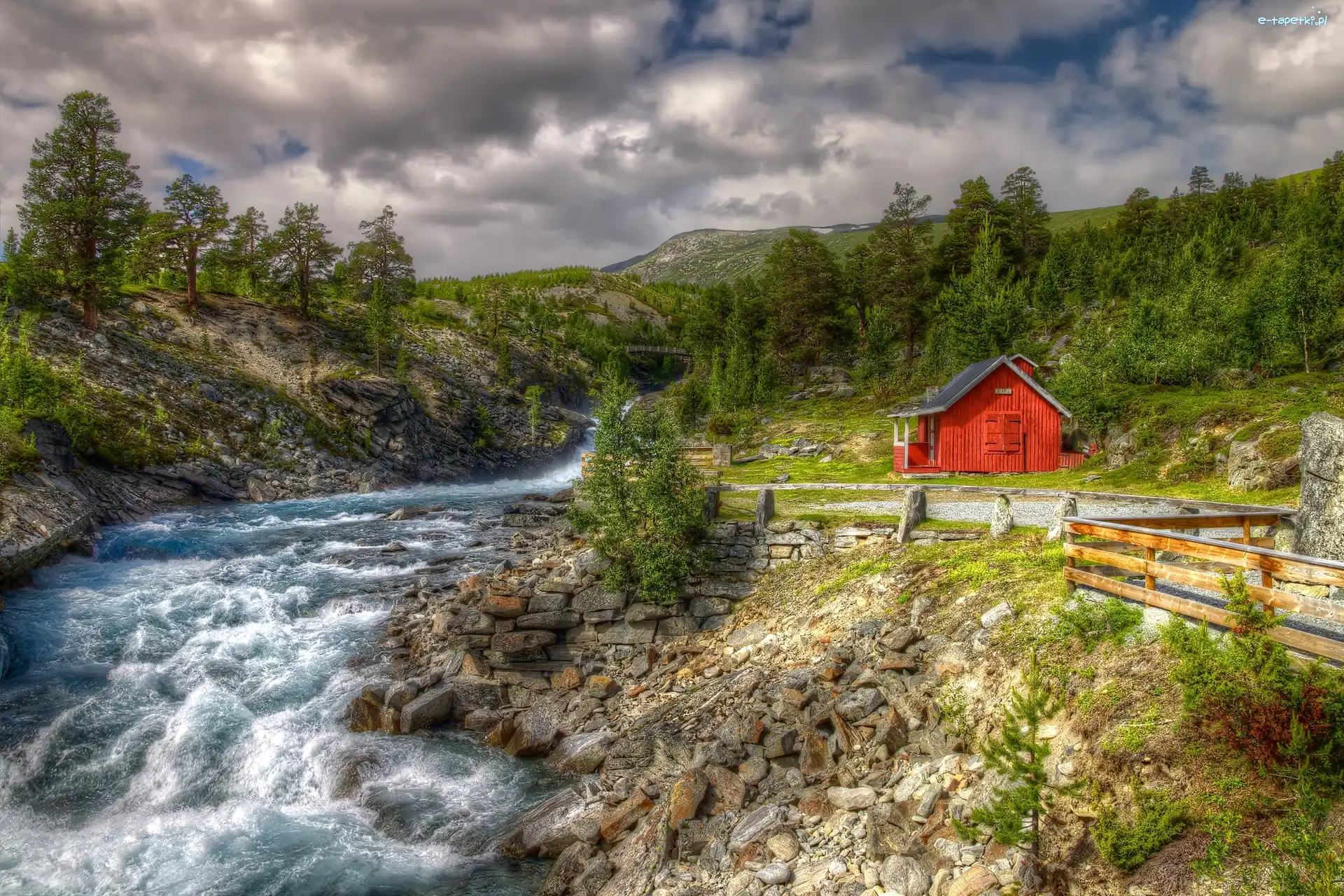 Rzeka, Norwegia, Dom, Las