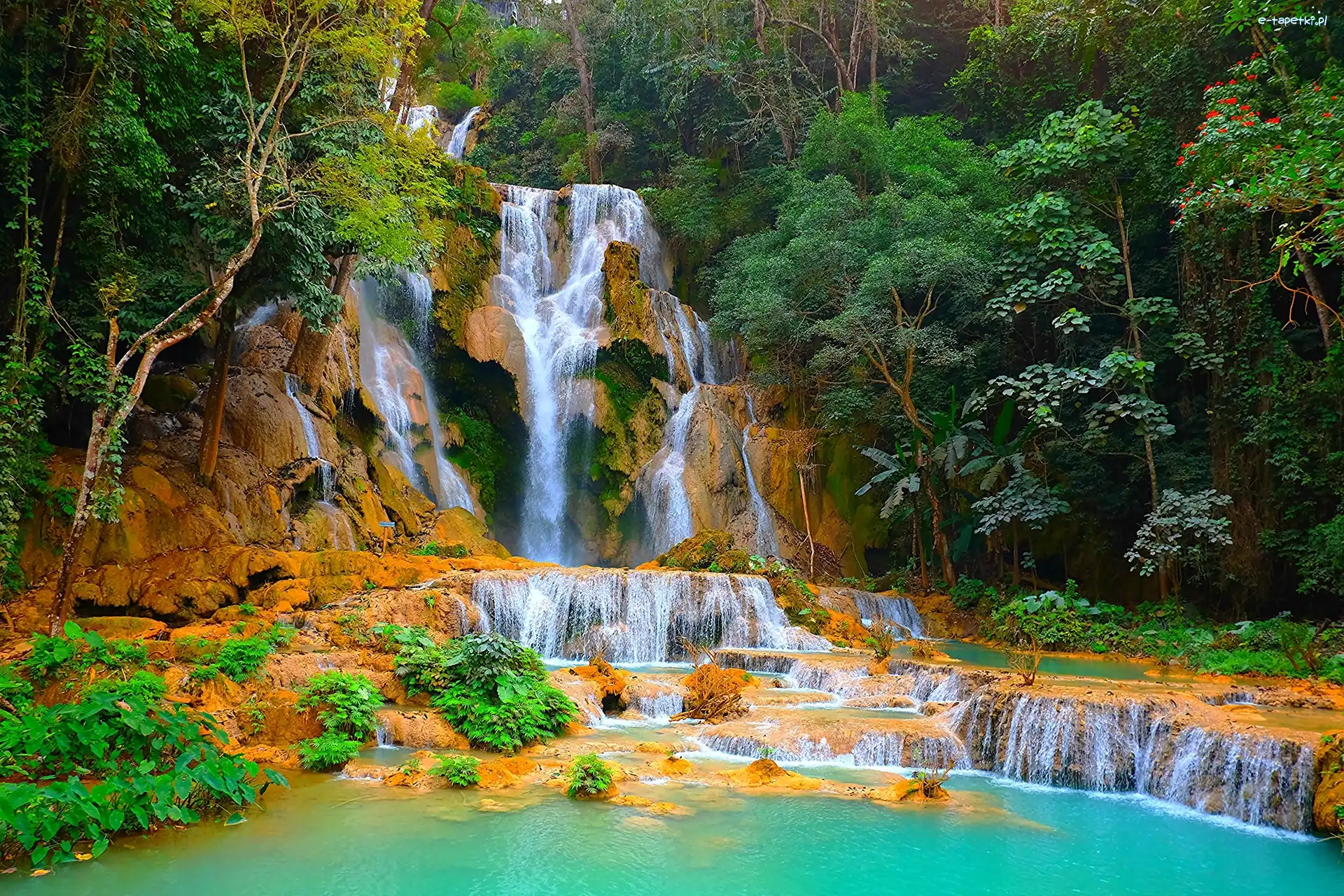 Las, Wodospad, Jeziorko, Laos, Kuang Si