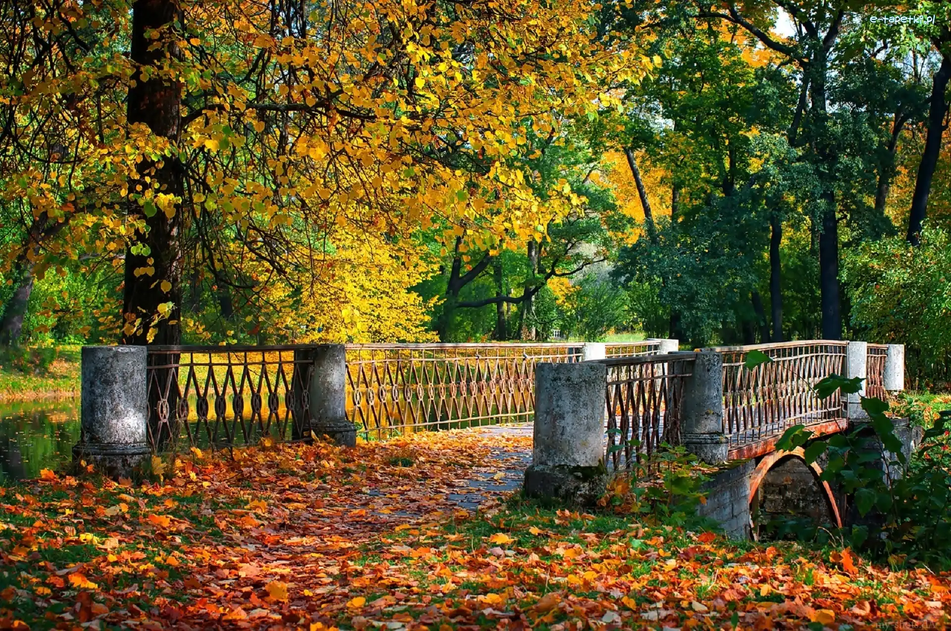Most, Liście, Rzeka, Jesień, Park