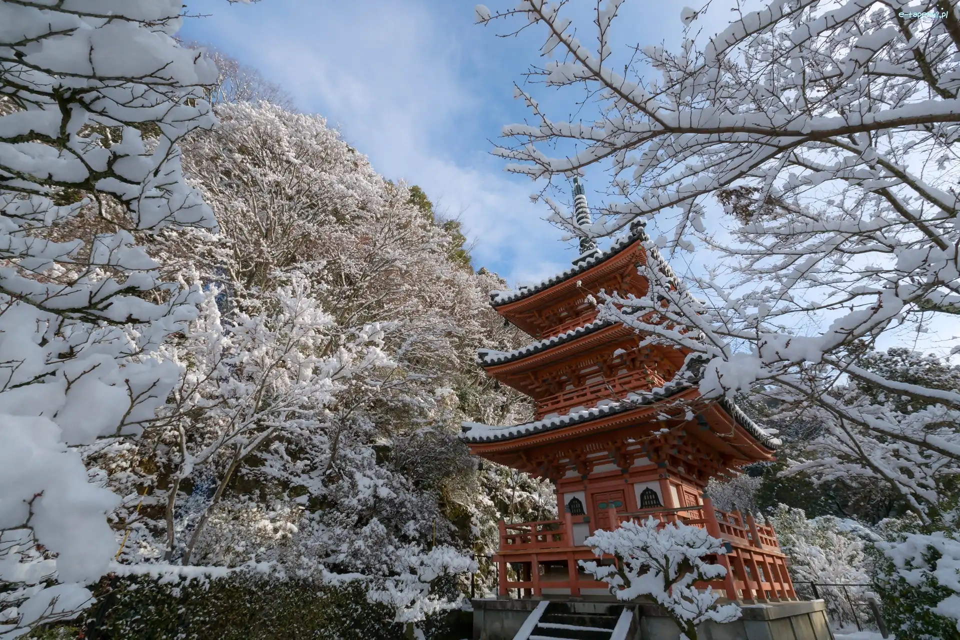 Zima, Drzewa, Świątynia, Japonia, Kyoto