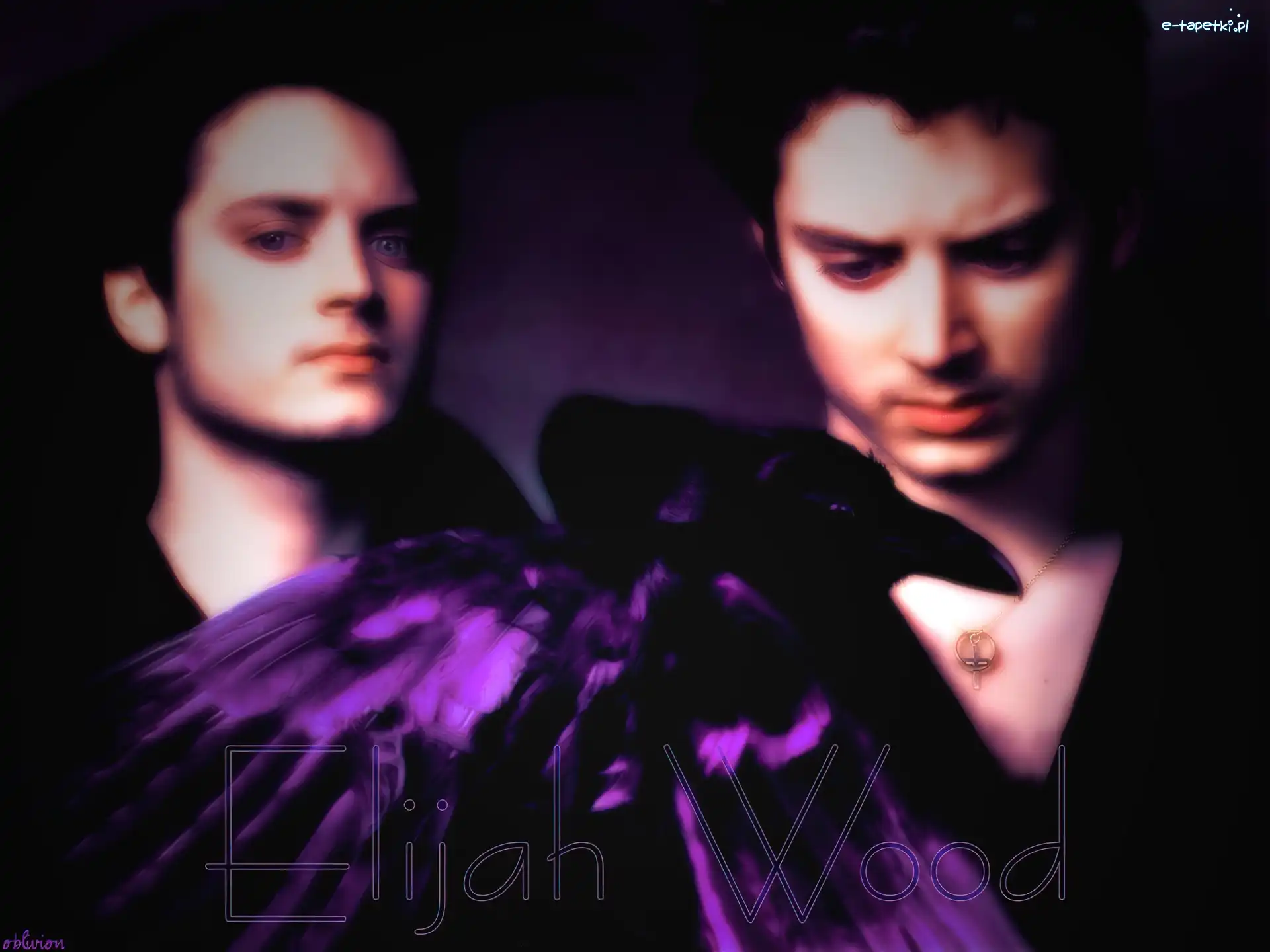ptak, niebieskie oczy, Elijah Wood