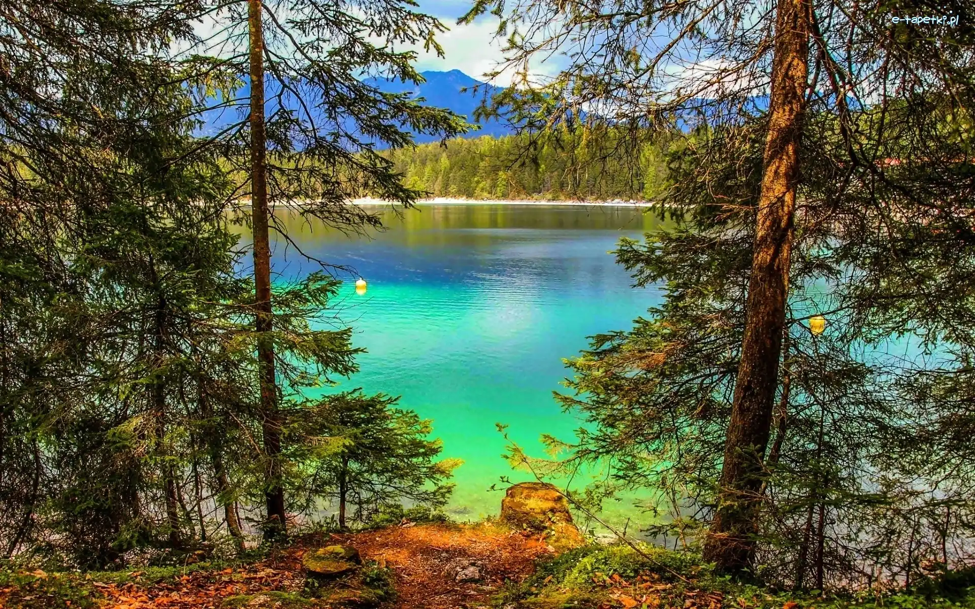 Bawaria, Eibsee, Las, Niemcy, Jezioro, Turkusowe