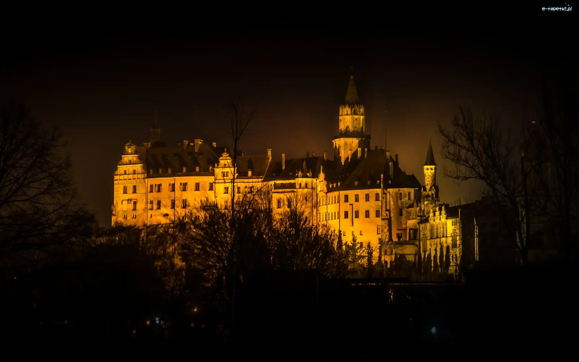 Miasto Sigmaringen, Niemcy, Badenia-Wirtembergia, Zamek Sigmaringen
