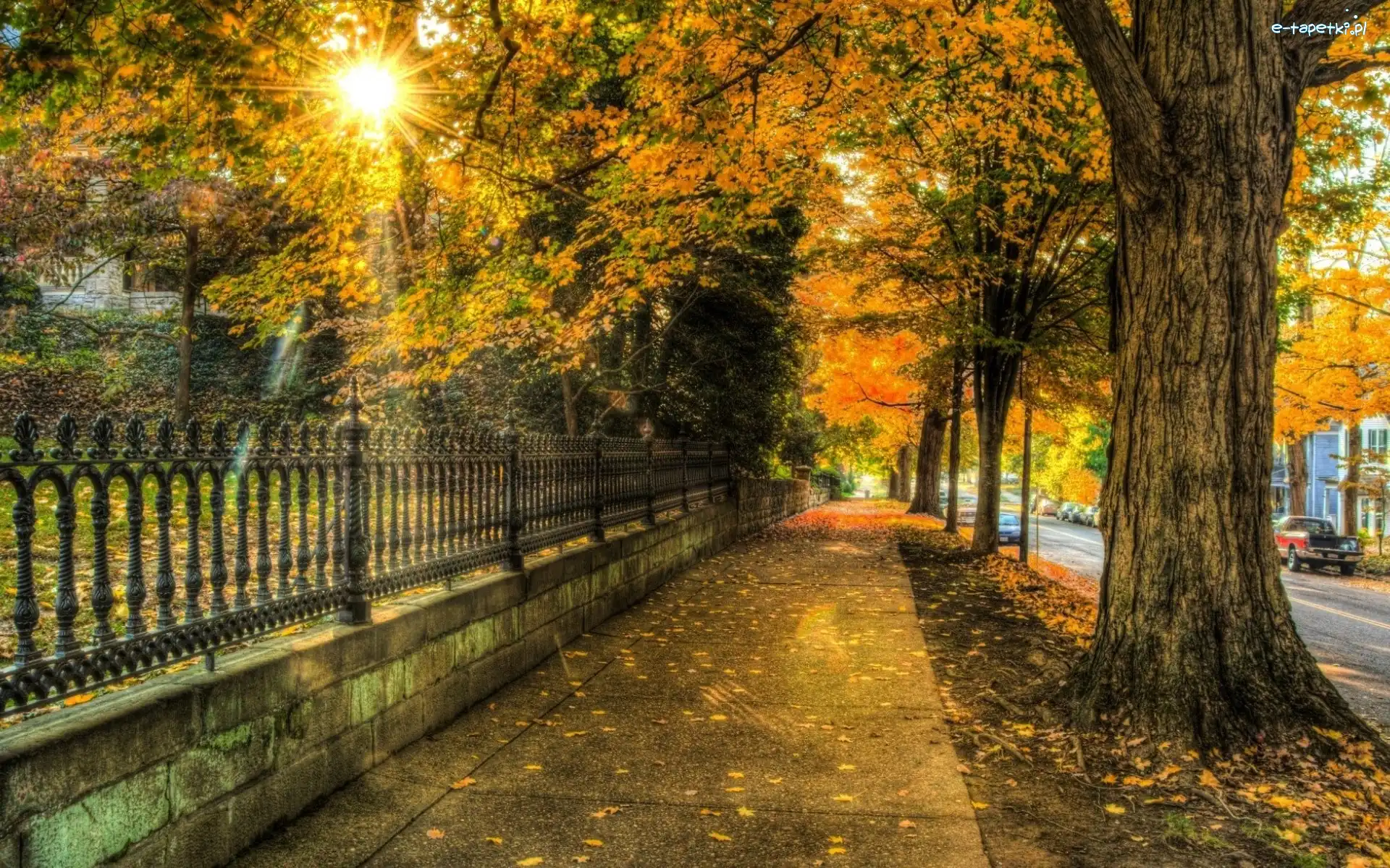 Park, Ogrodzenie, Chodnik