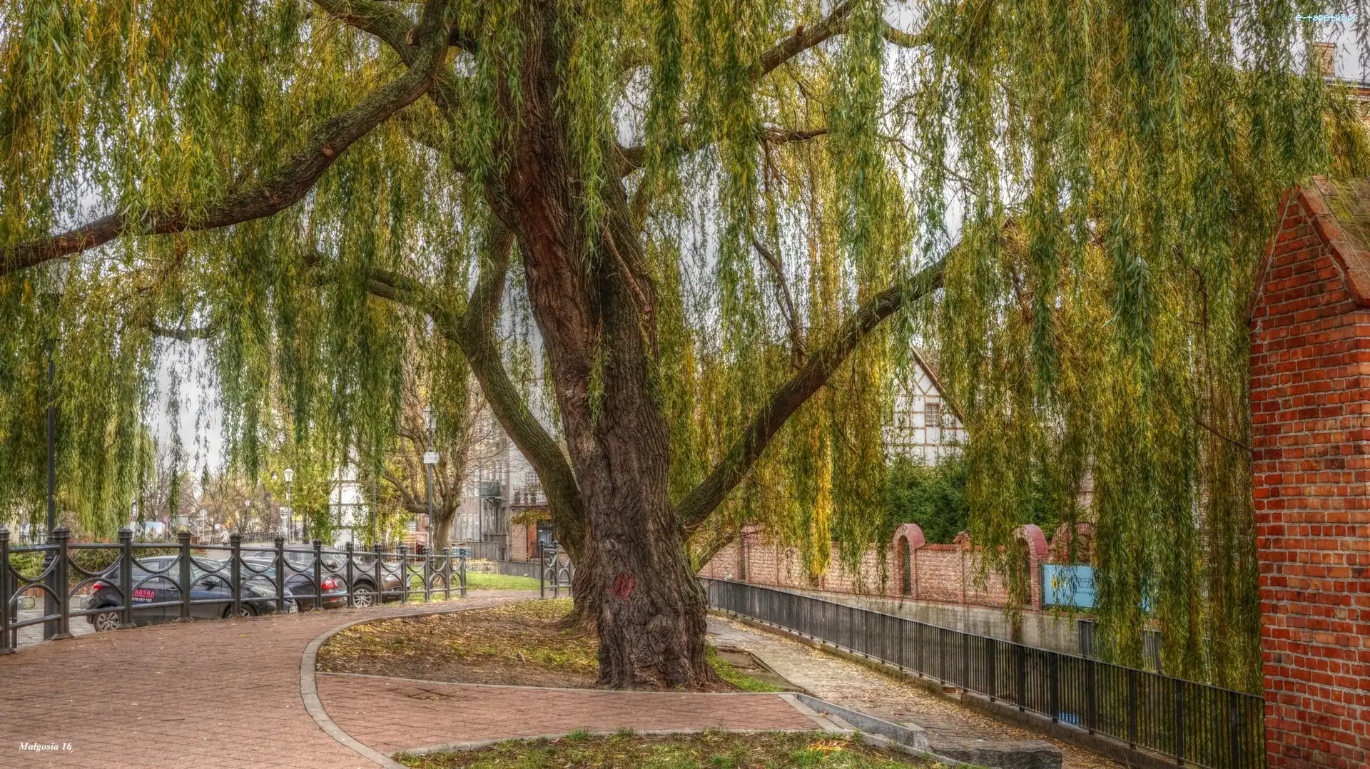 Alejka, HDR, Wierzba, Gdańsk
