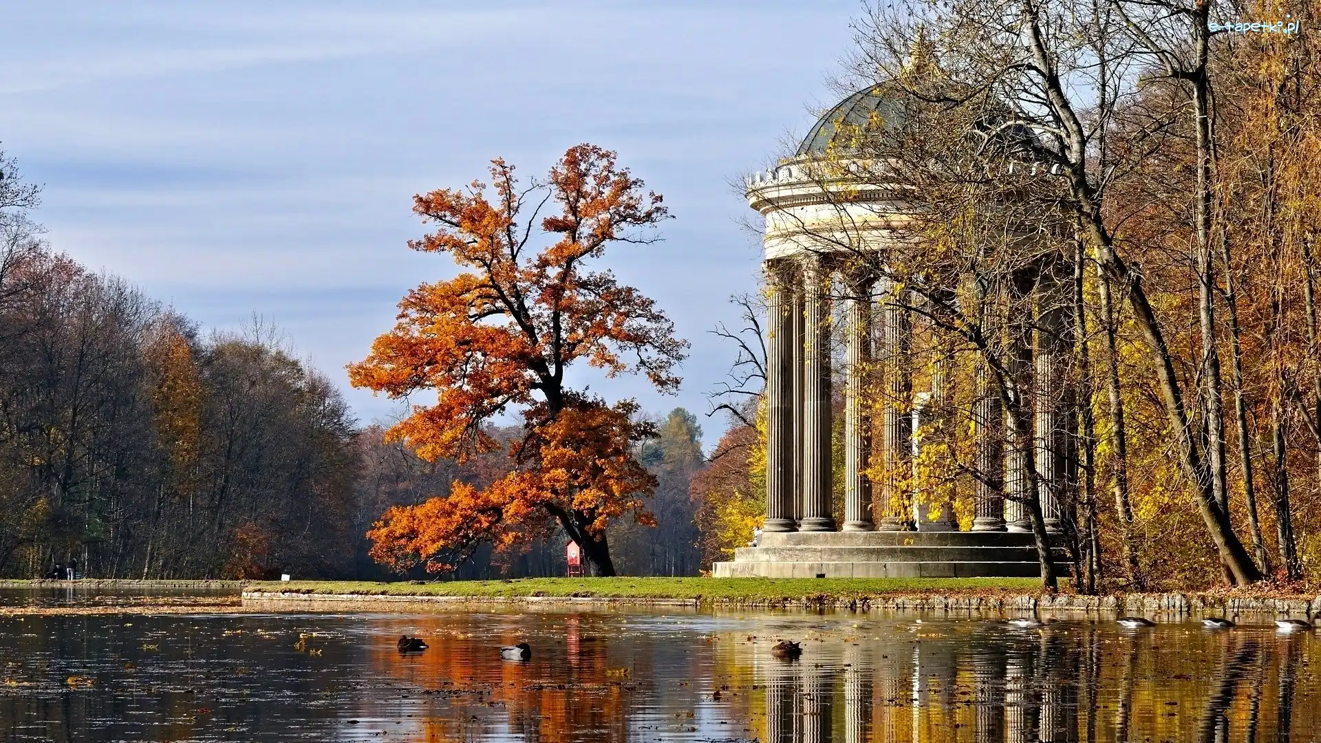 Park, Budowla, Staw, Jesień, Drzewo
